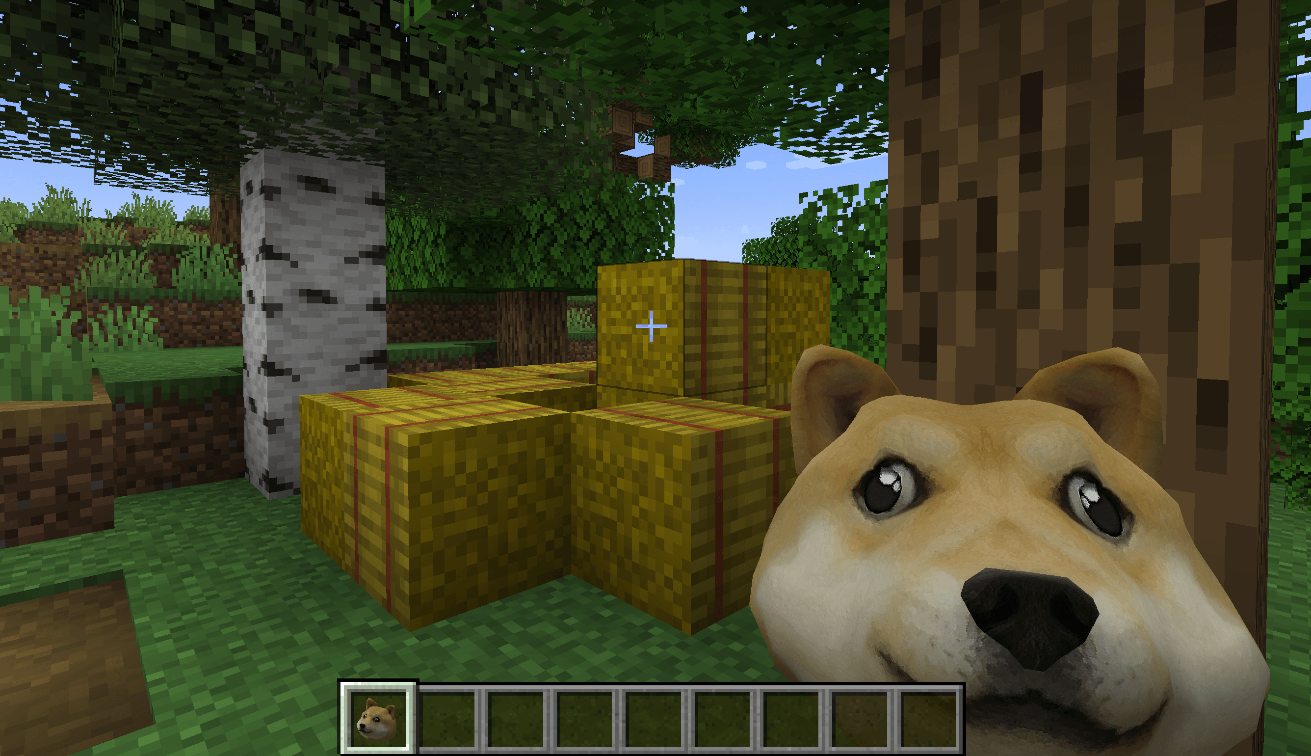 Captura de tela 2026-07-09 152245.png