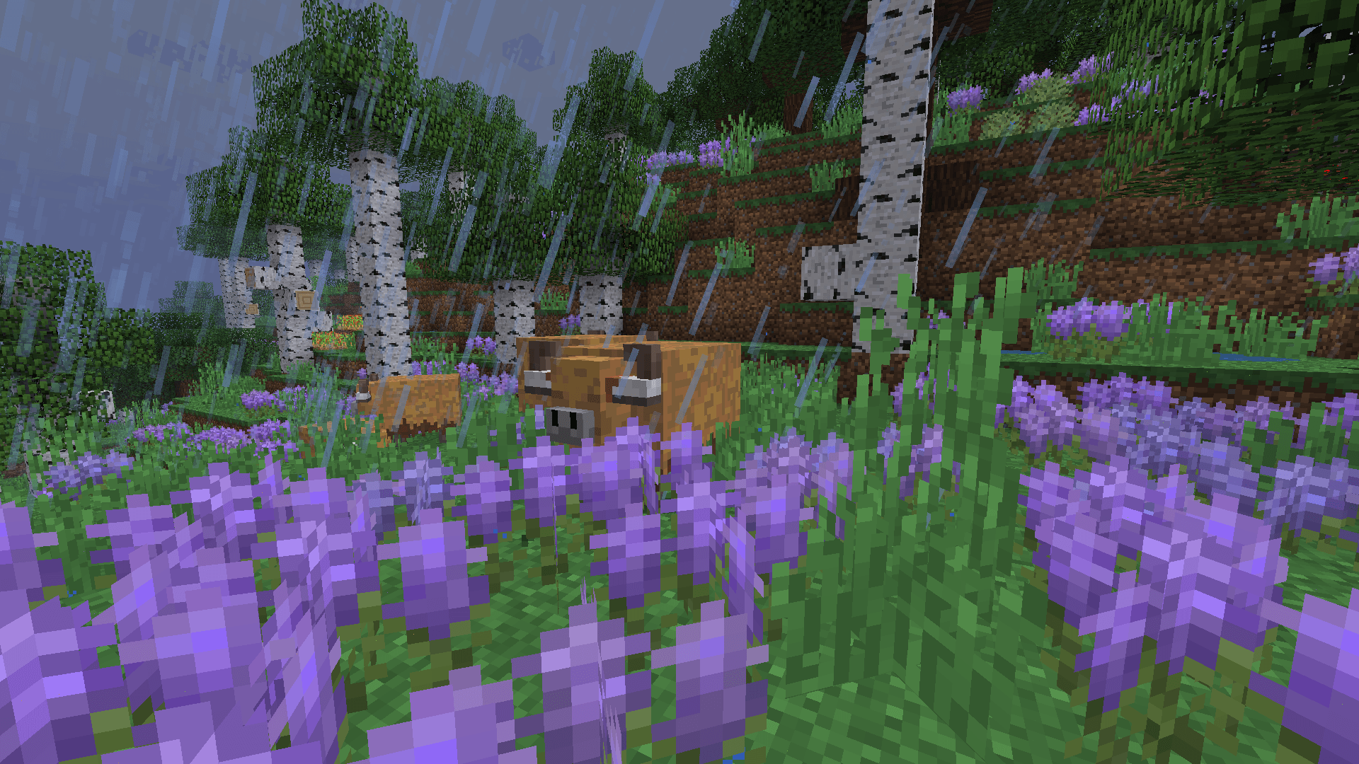Thumbnail 2026-07-06_03.20.40.png
