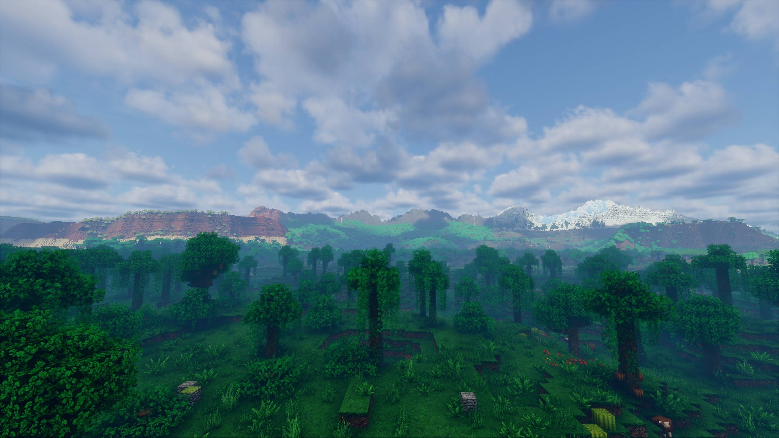 View 3.jpg