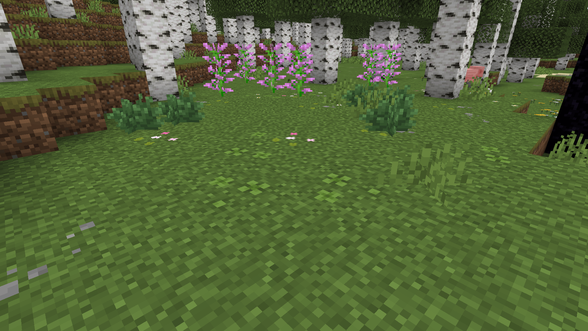 Beautifully Better Grass thumbnail 1