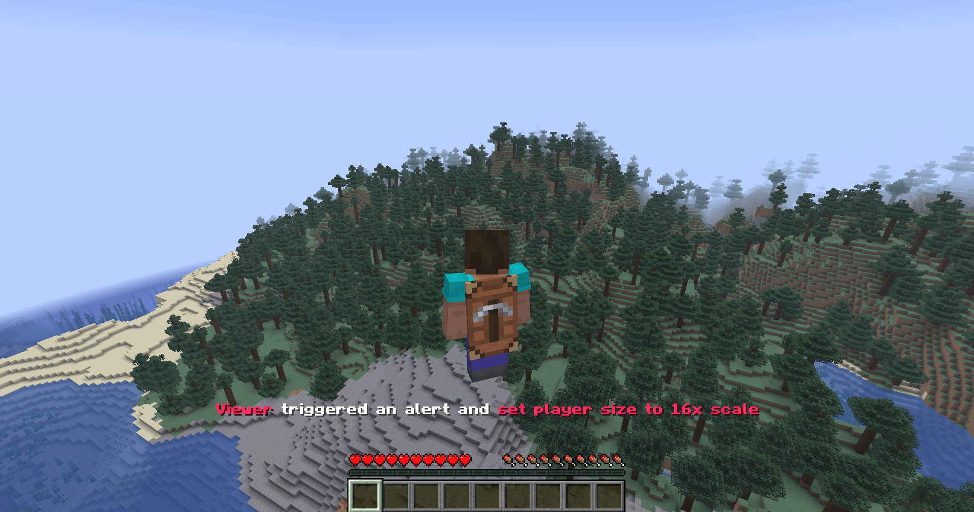 Viewer changing the scale of the player to 16x