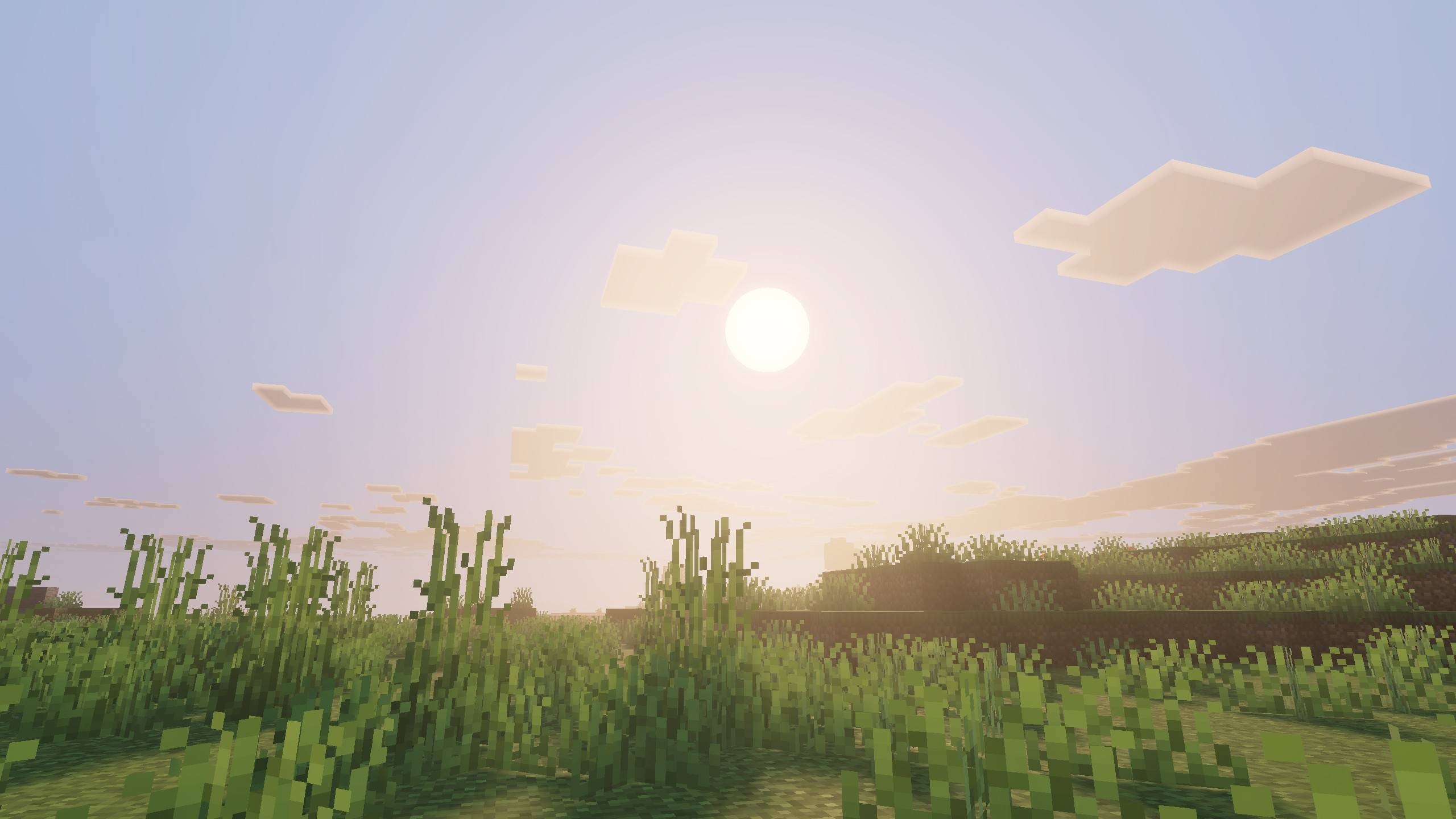 Grass.jpeg