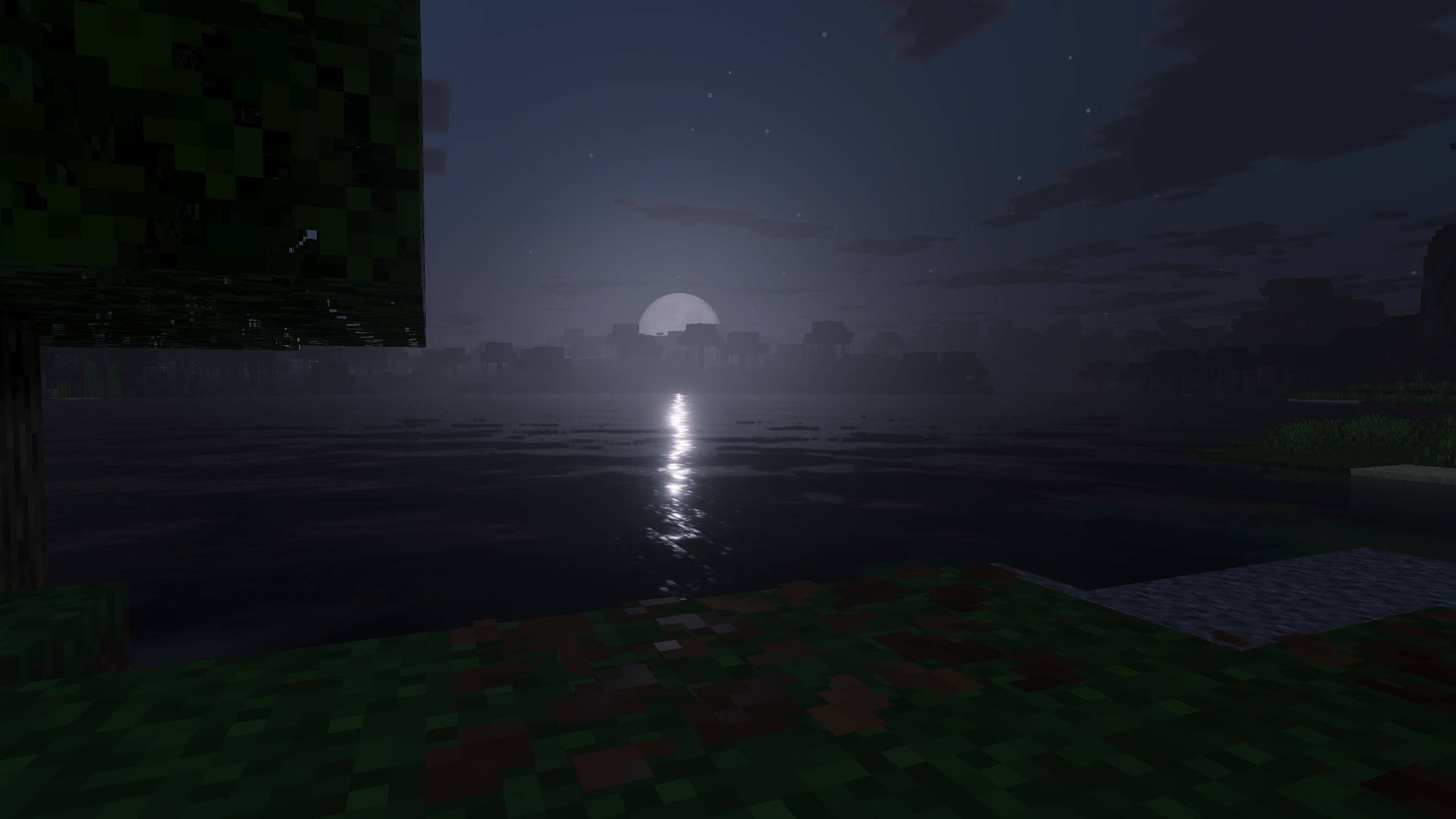 Moonlight.jpeg