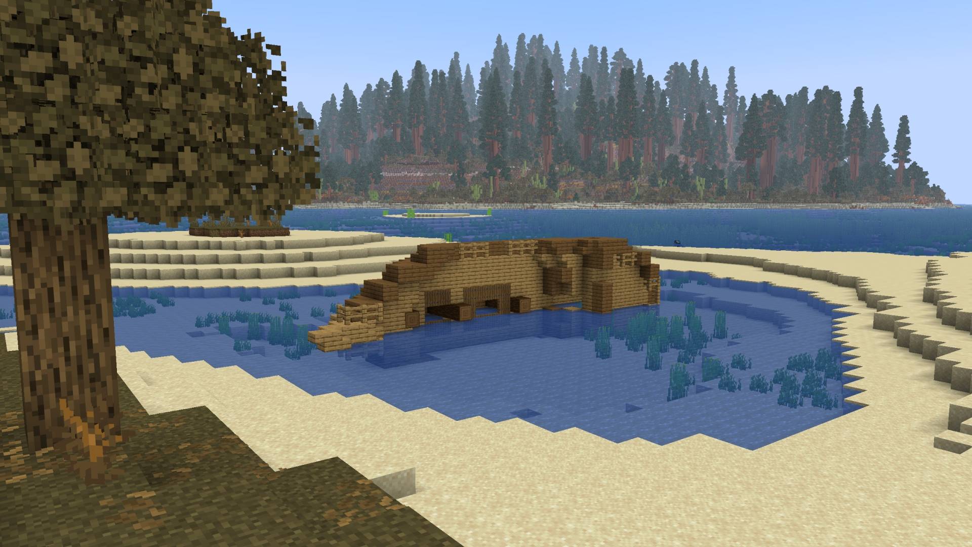 2026-06-24_12.32.06.jpg