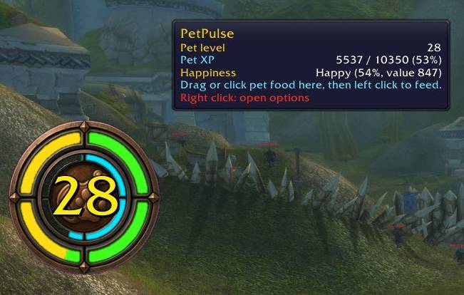 pp_01.jpg