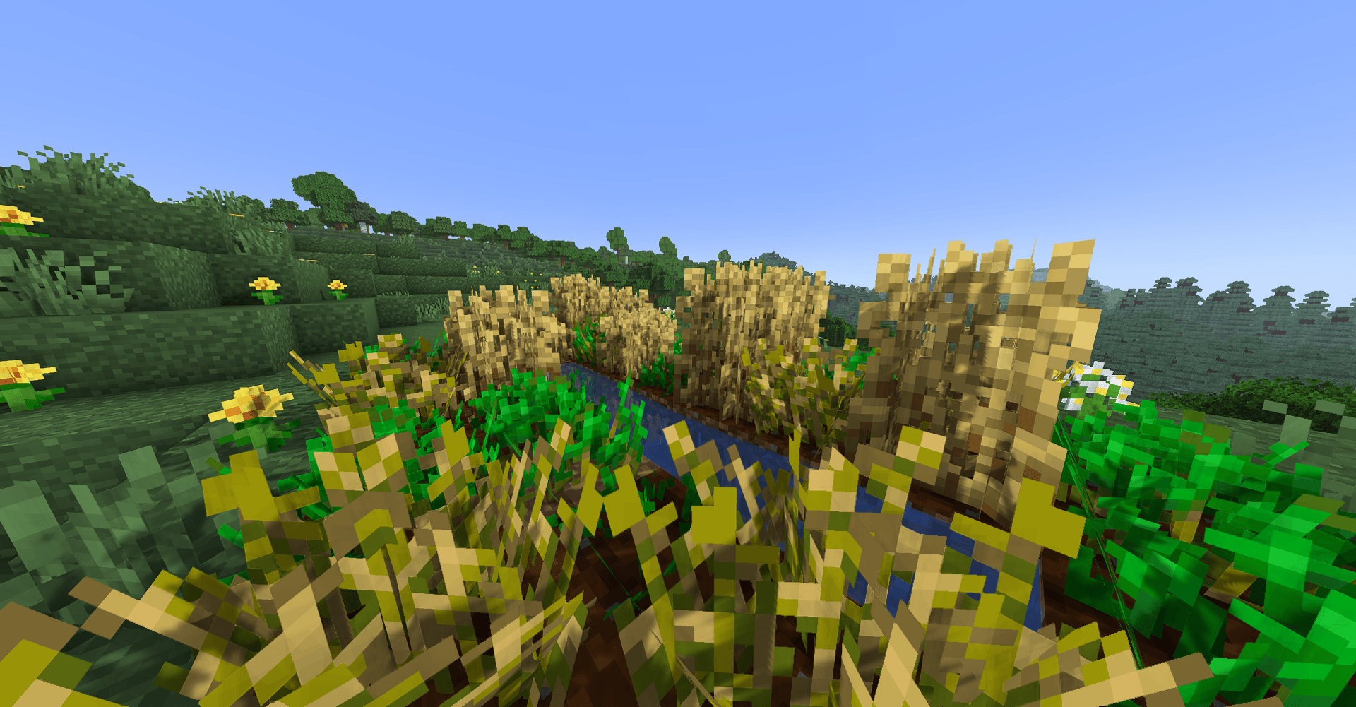 Screenshot 2026-07-12 003430.png