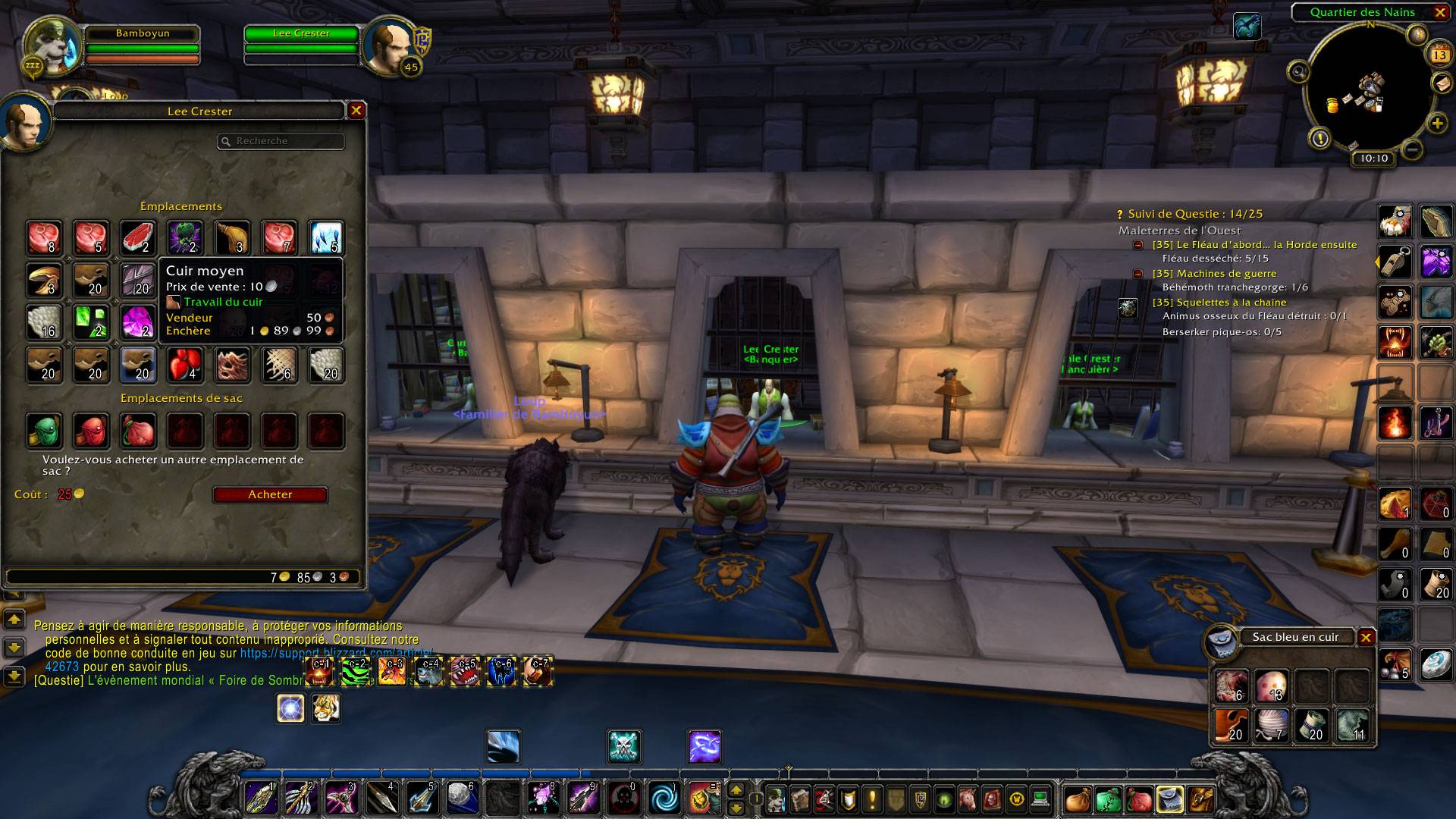 Bank inventory with profession tags (Leatherworking)