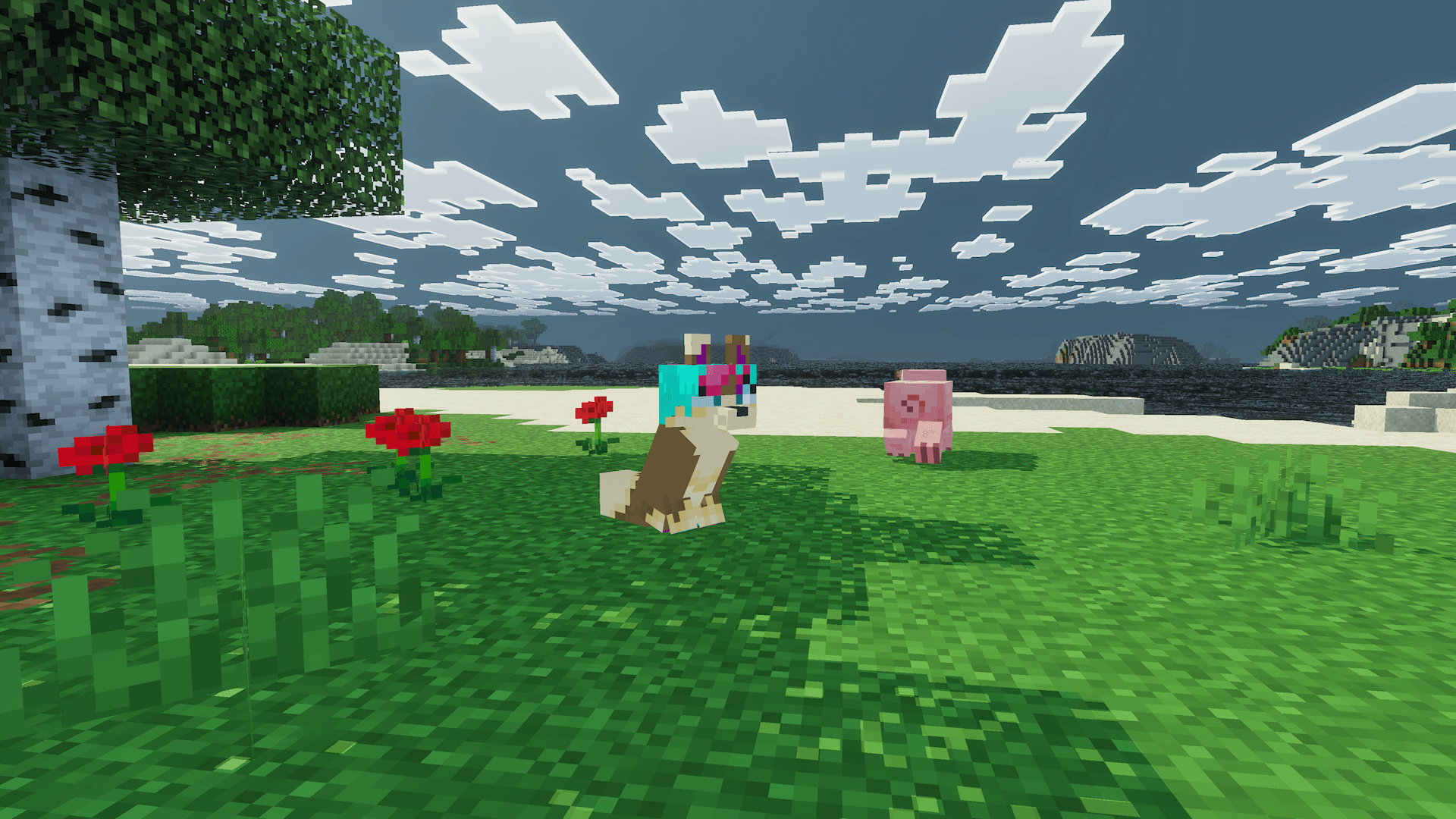 Thumbnail 1000042869.png