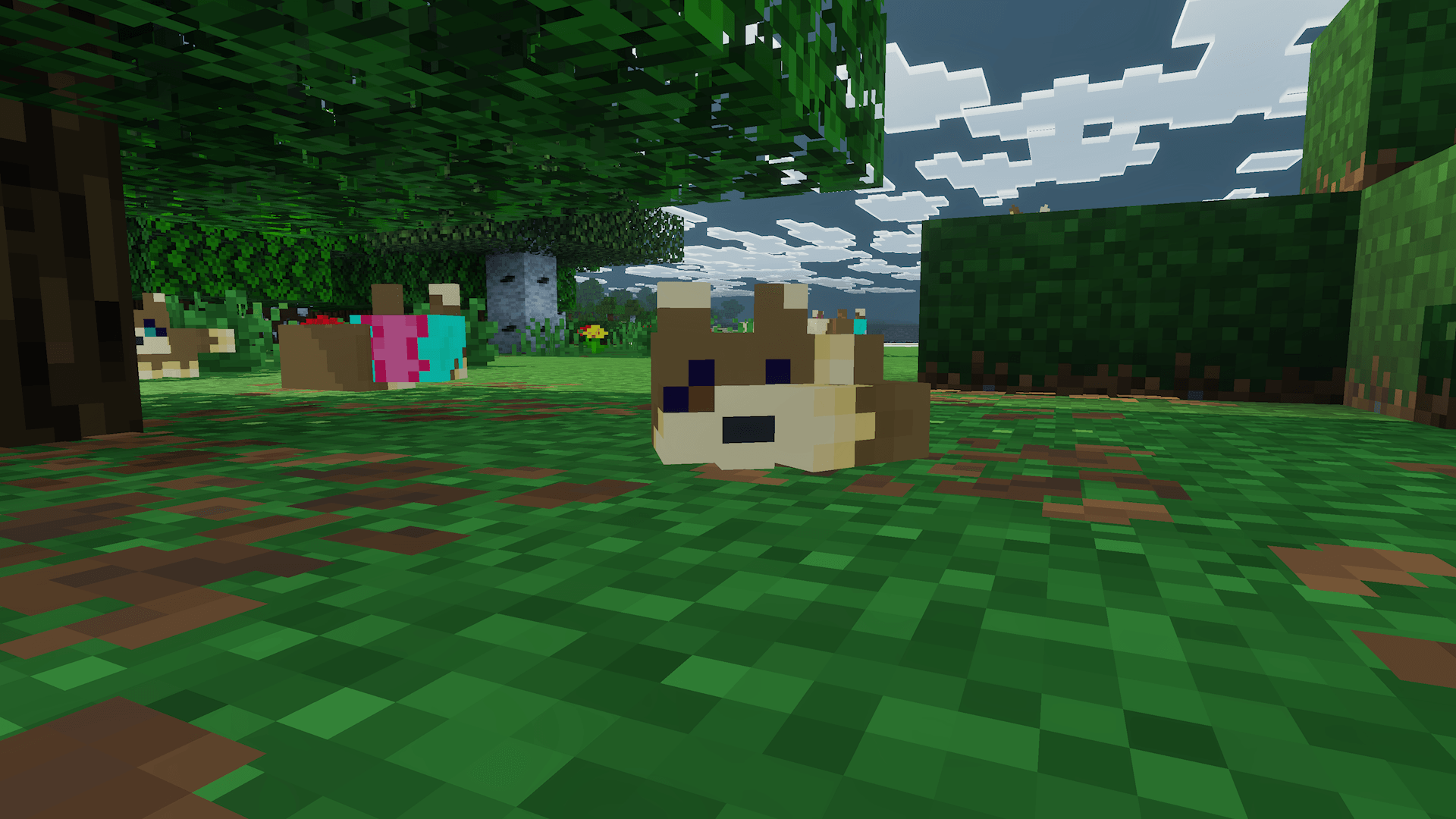 Thumbnail 1000042868.png