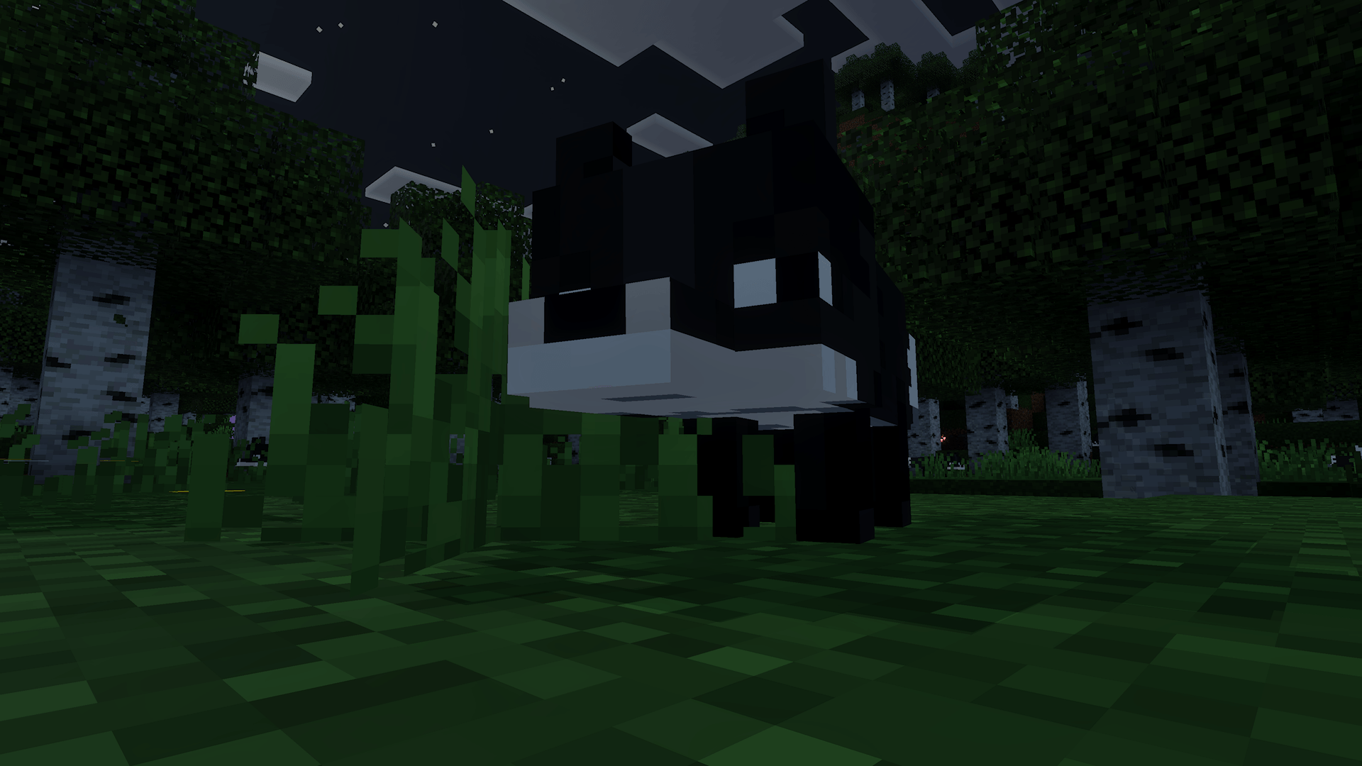 Thumbnail 1000042871.png