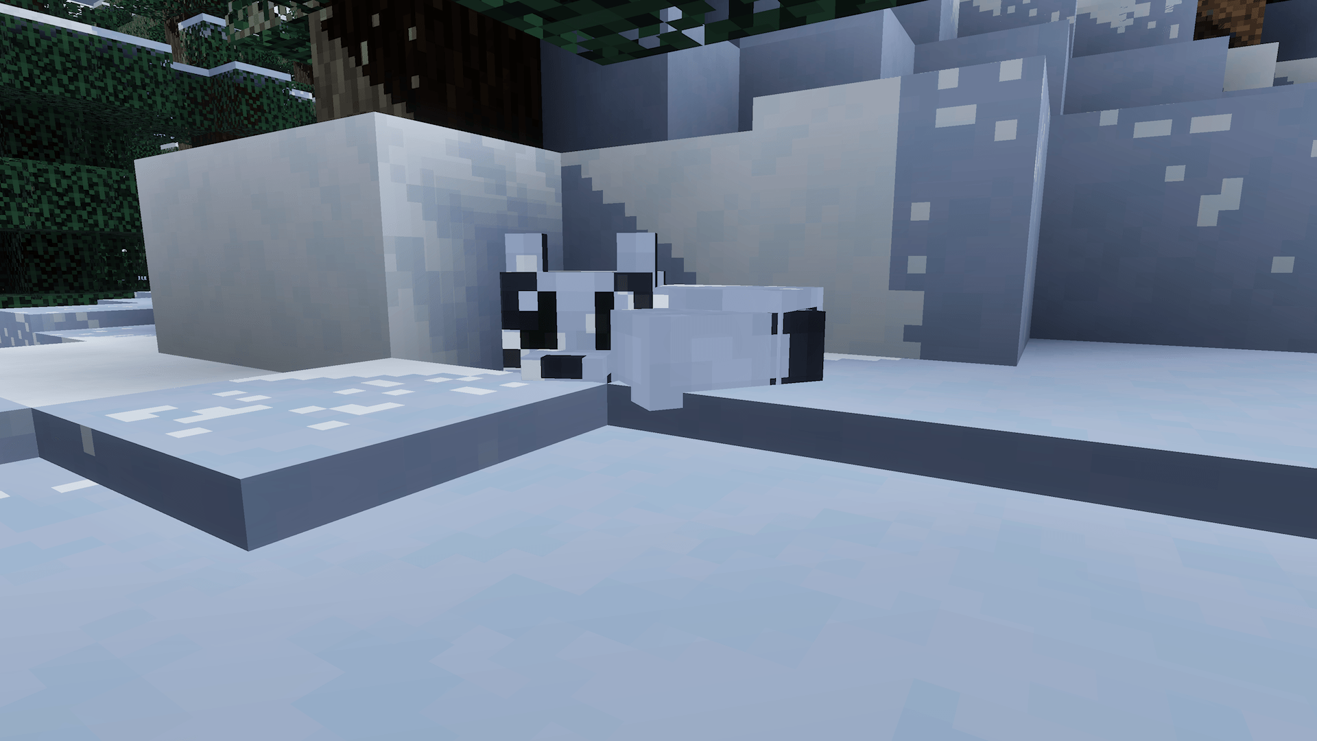 Thumbnail 1000042875.png