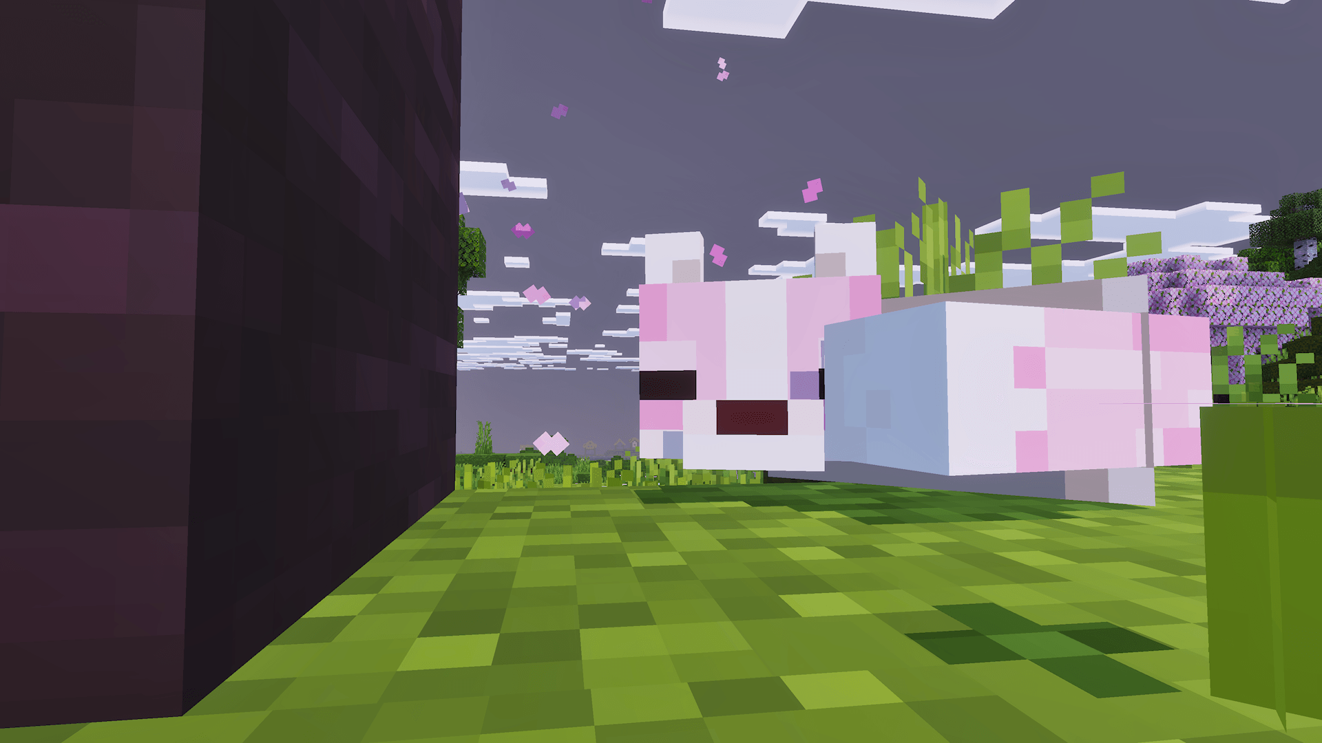 Thumbnail 1000042887.png