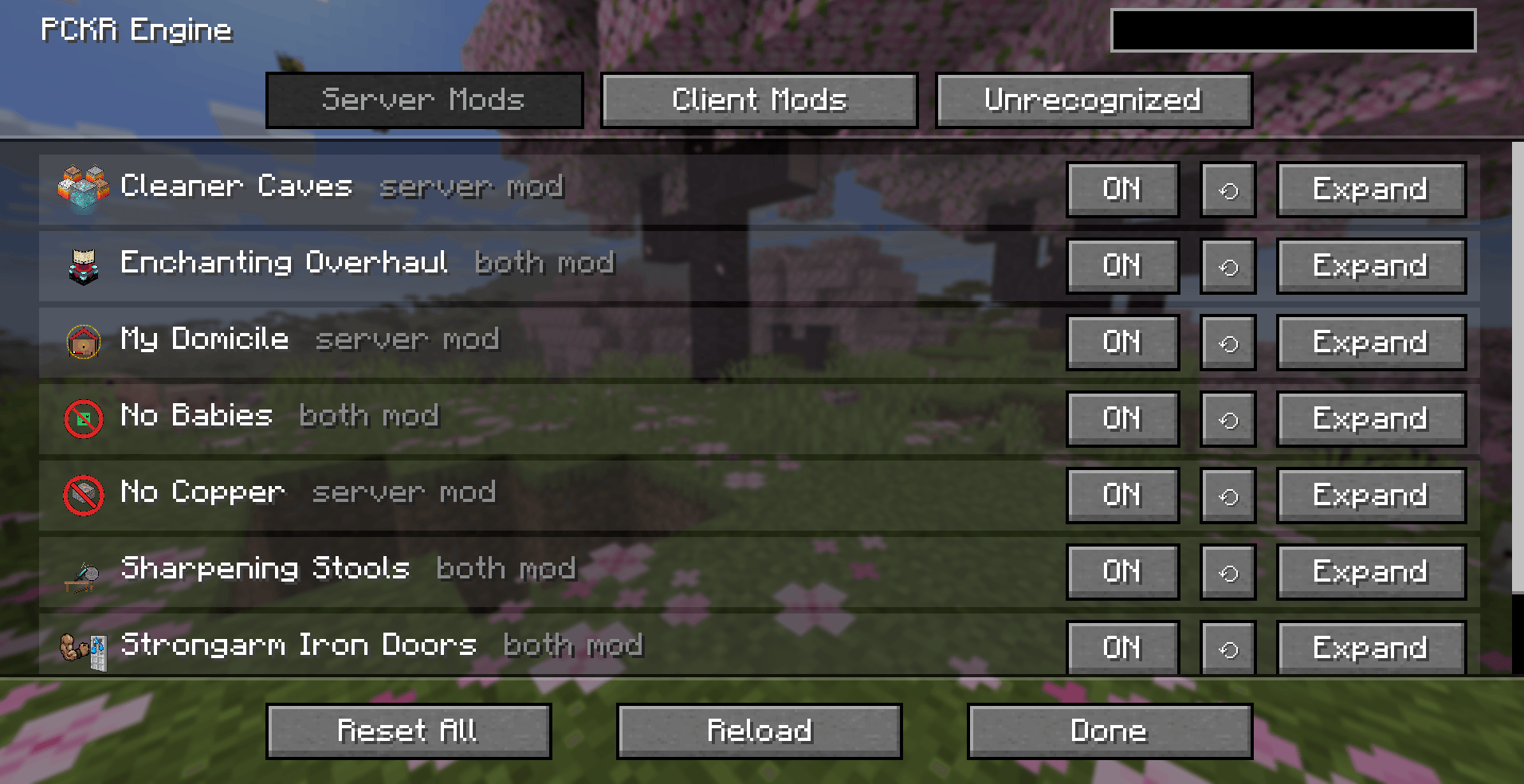 While on the Server Mods list, you can Enable/Disable, Reset, or Expand a mod. From left to right, it gives you the mod's Icon, Name, and if it is recognized as a Server, Client, or Both mod. Finally, we have the option to Reset All, Reload, and Done.