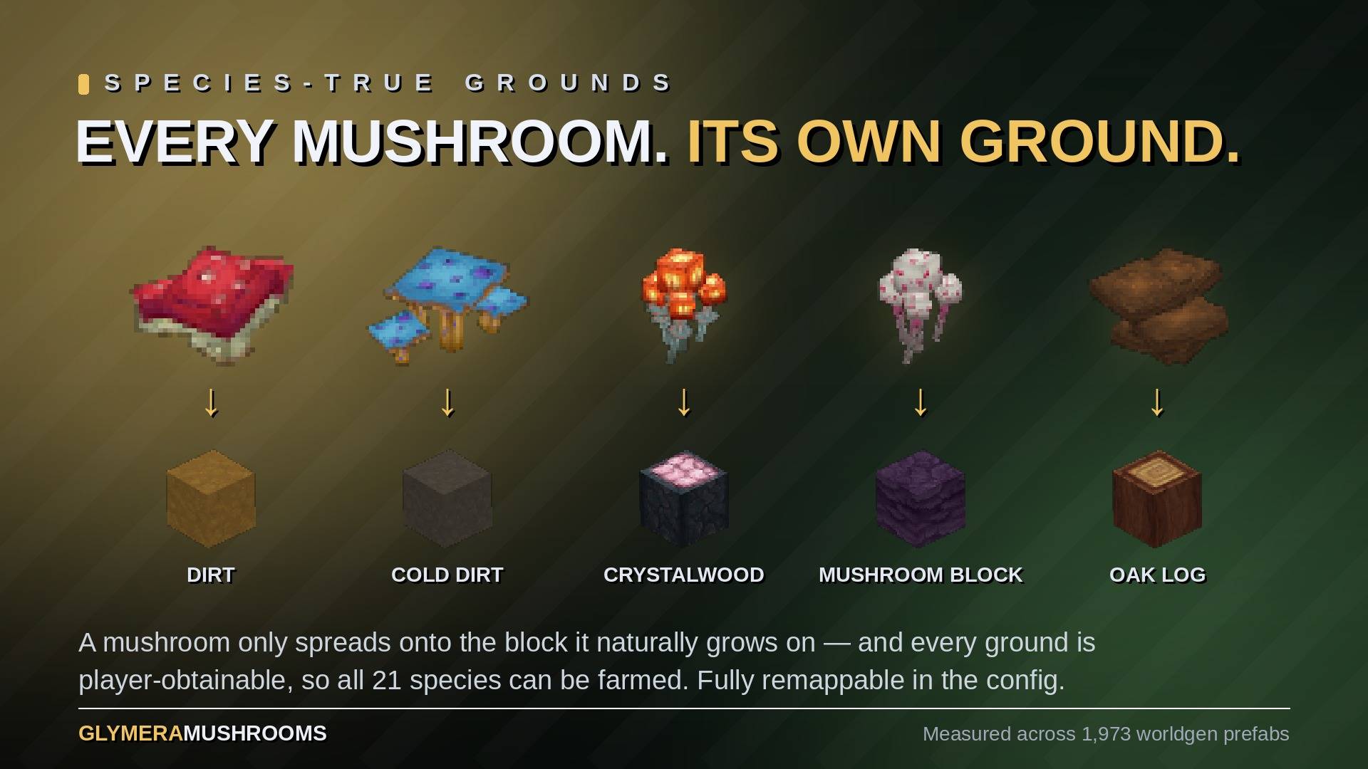 2_grounds.jpg
