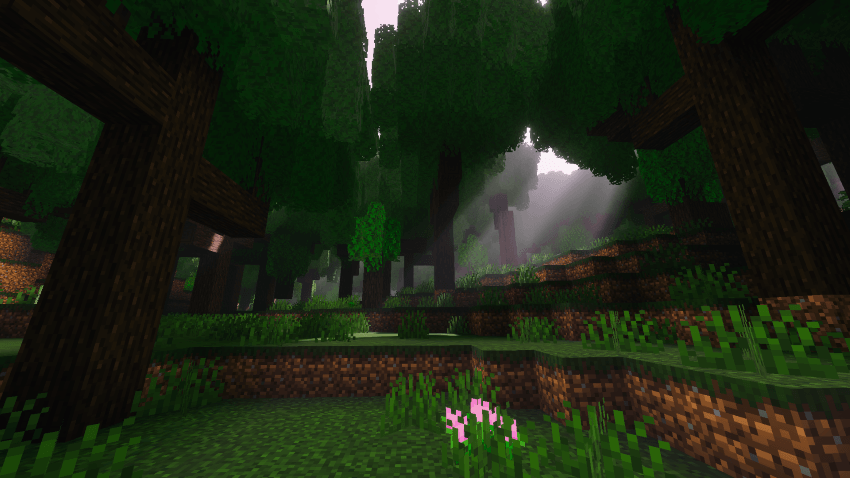 Reef's Better Leaves thumbnail 1