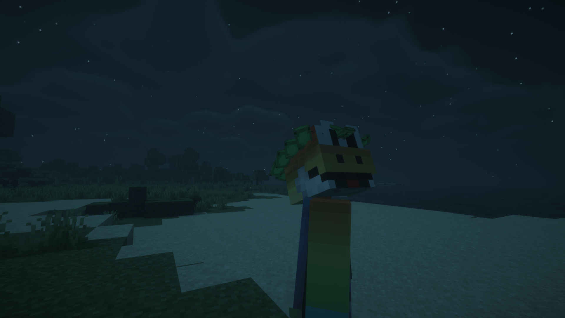 Hero_of_village.png