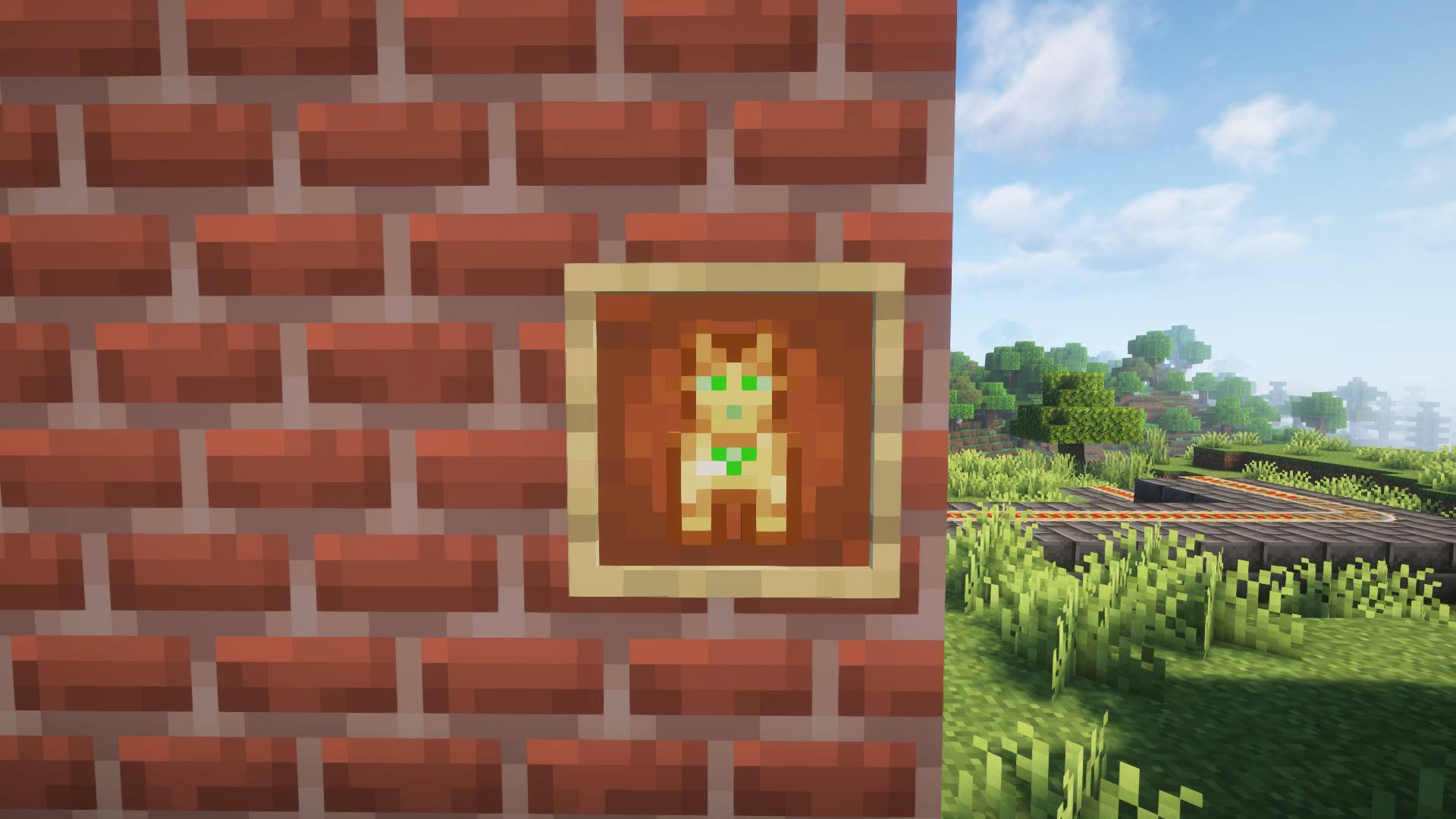 Cat in Item Frame