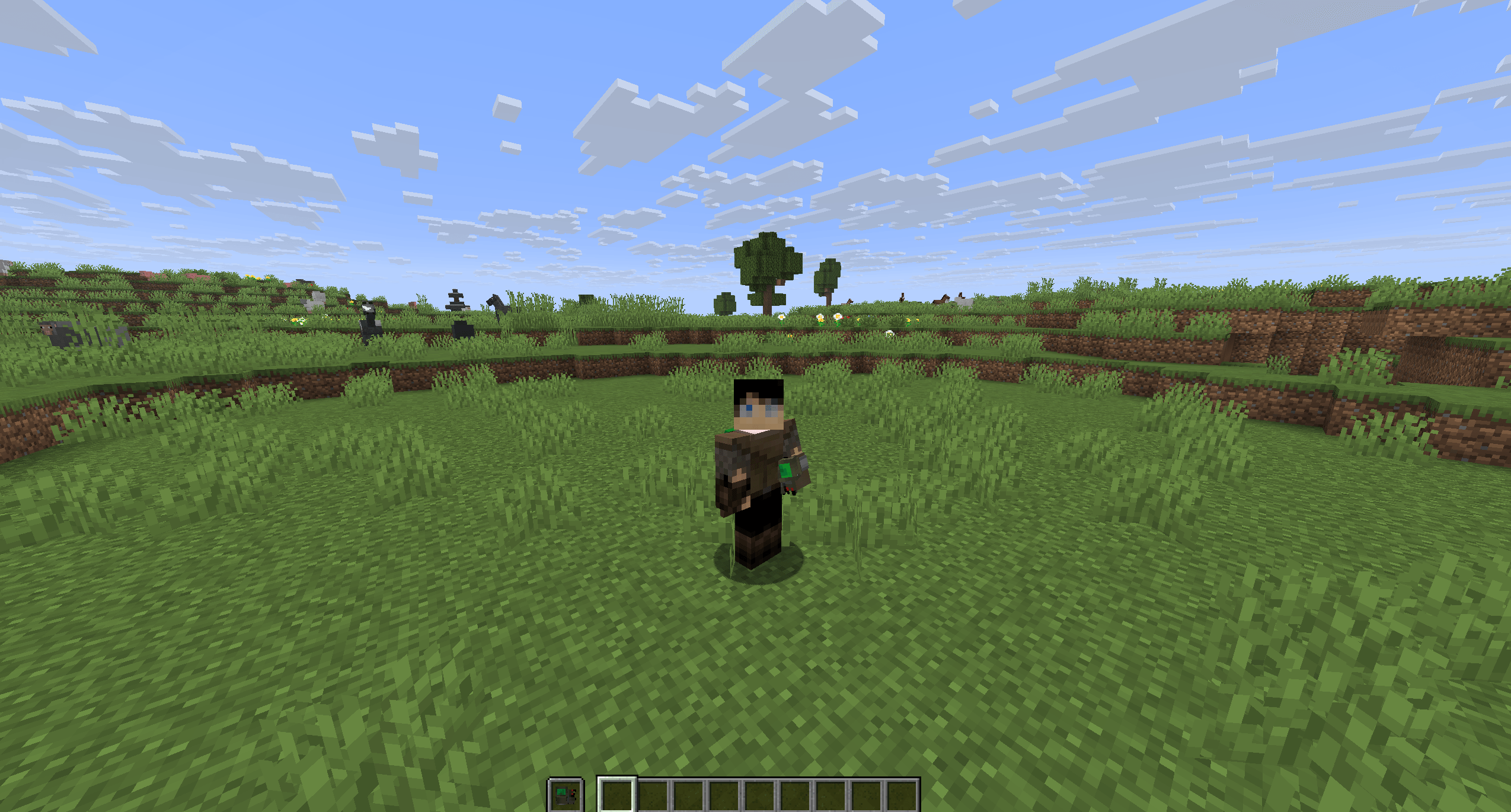 Third Person View