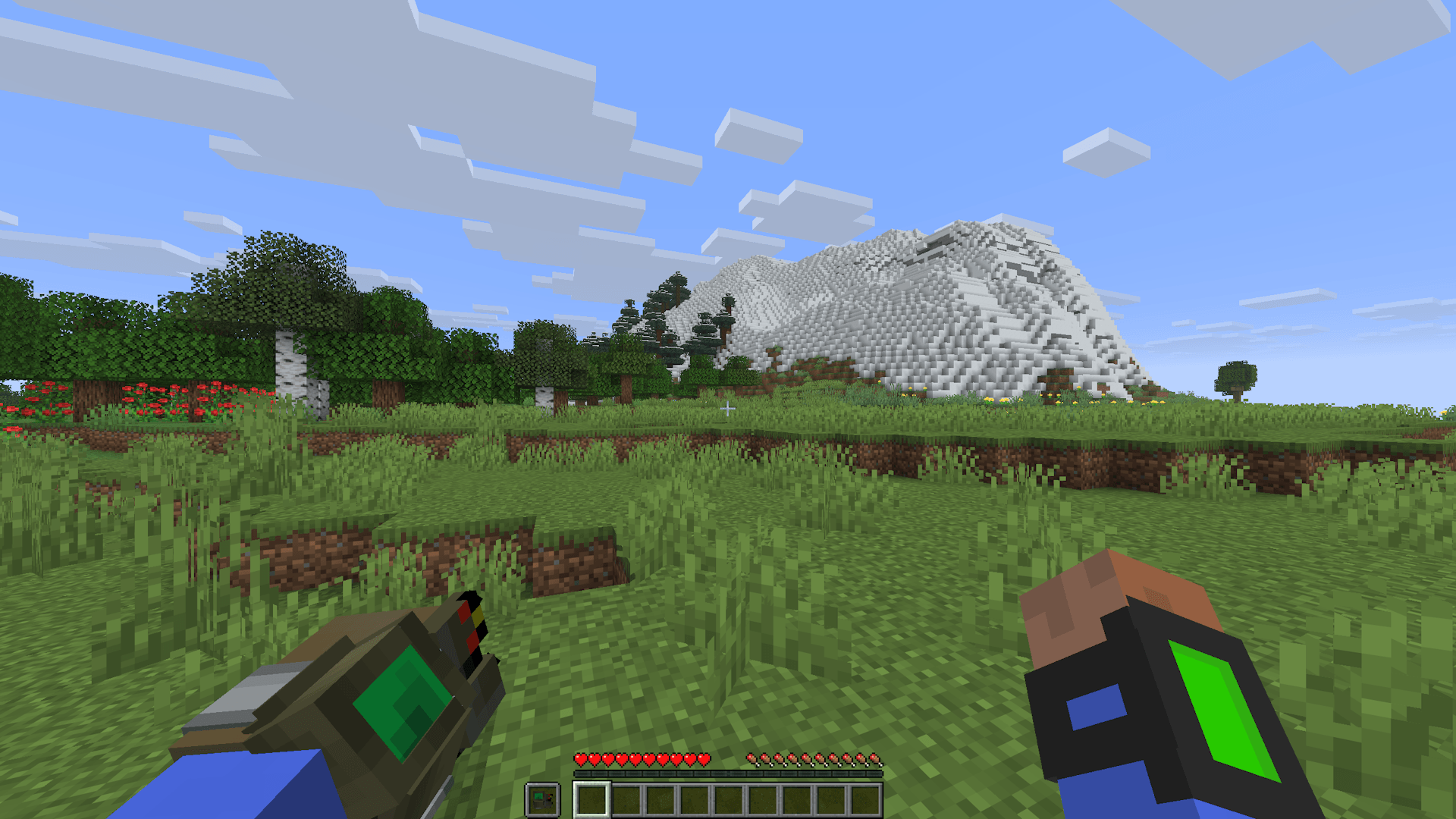 First Person View