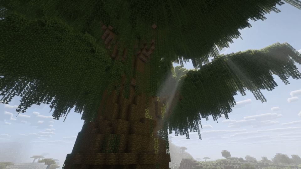 jungle_960.png
