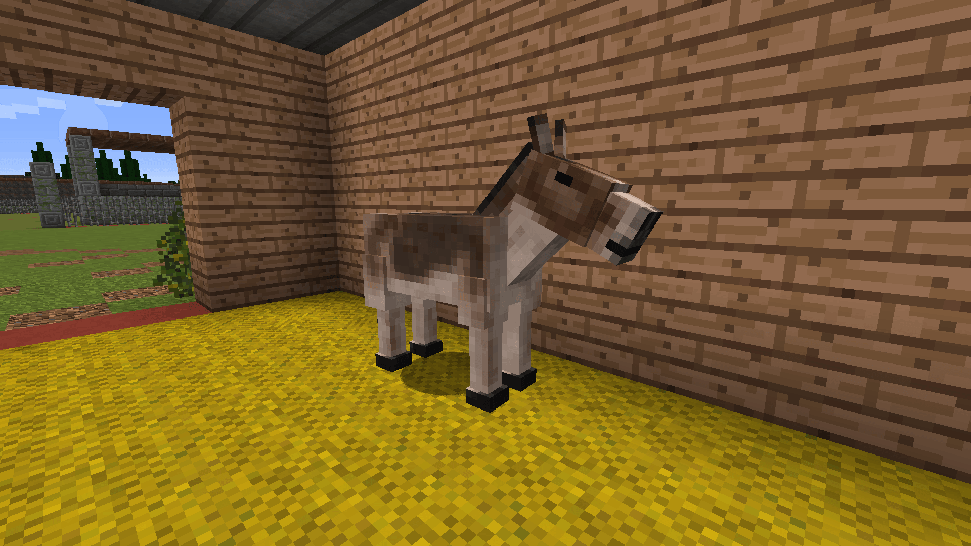 Kiang