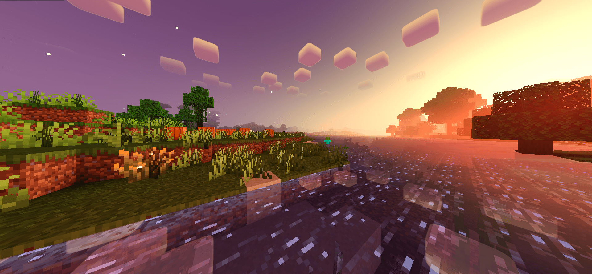 Newb X Supplementary thumbnail 9