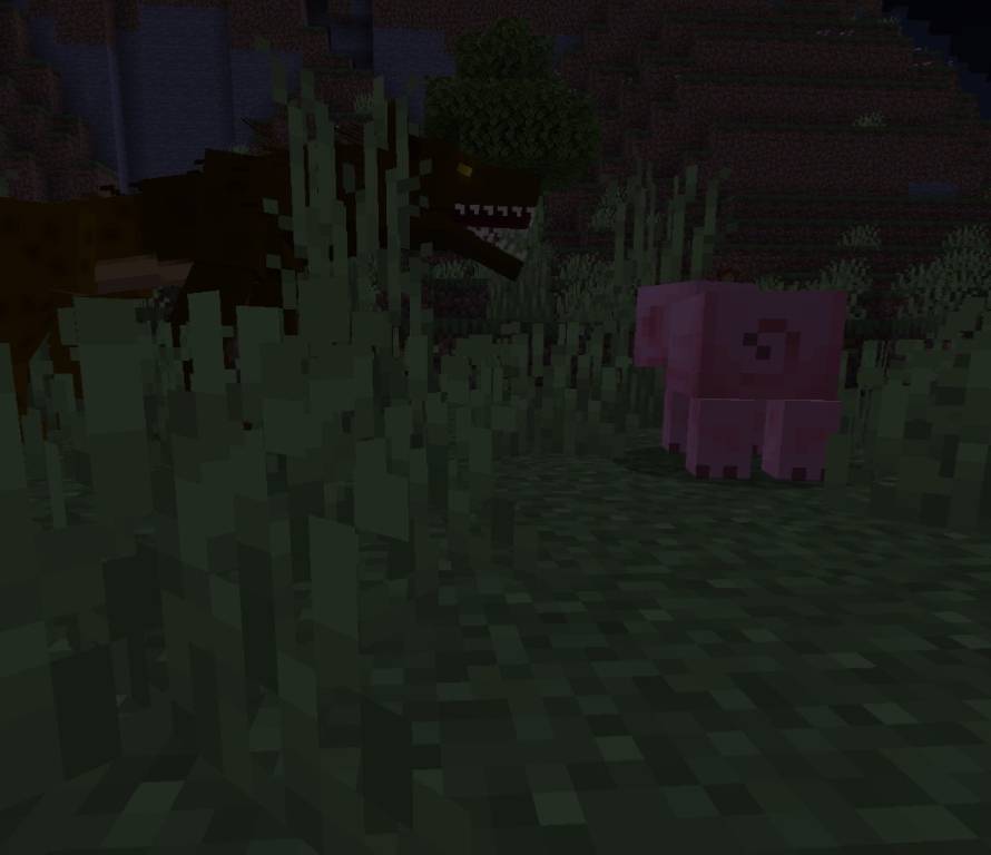 65175.jpg
