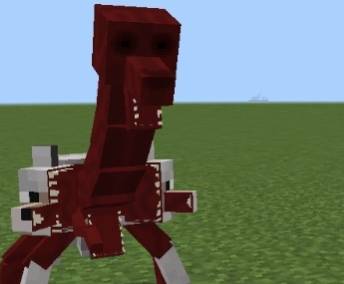 65176.jpg