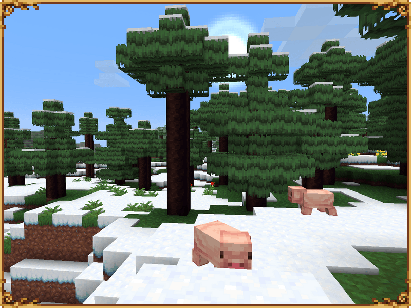 screen4.png