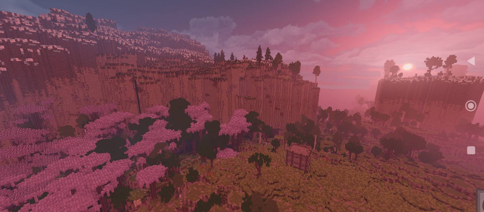 1001543823.jpg