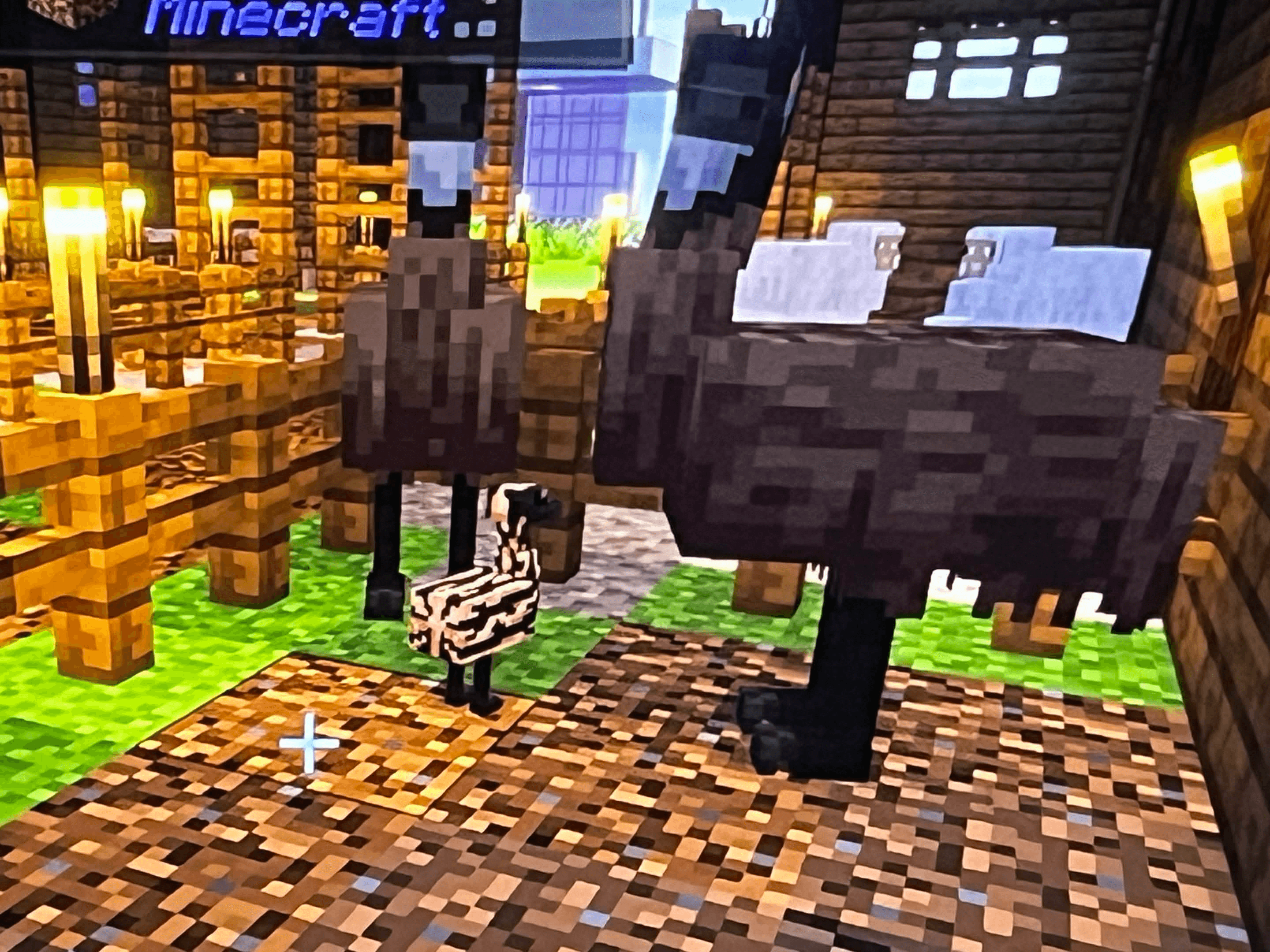 IMG_9313.png