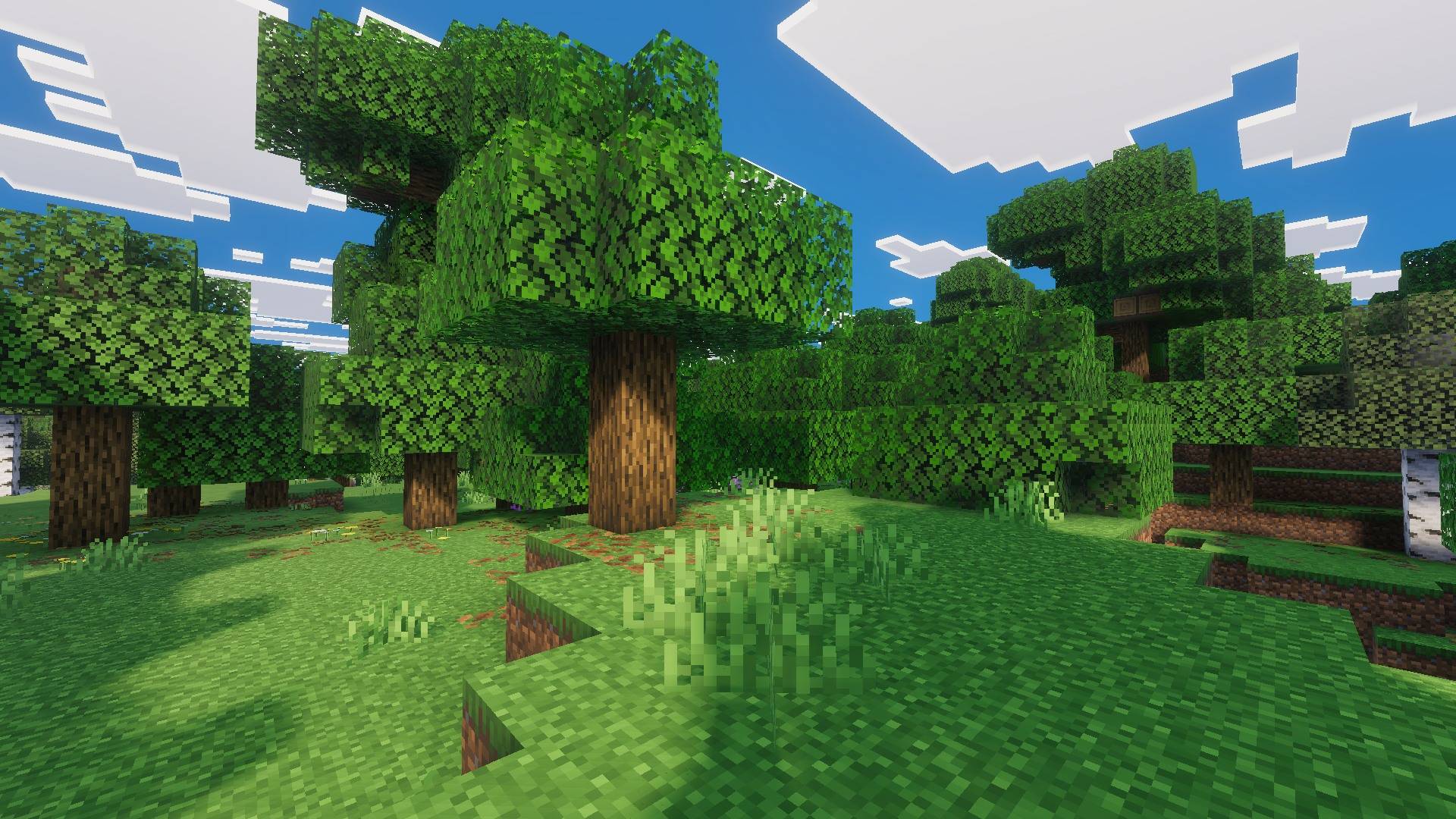 Thumbnail preview8.jpg