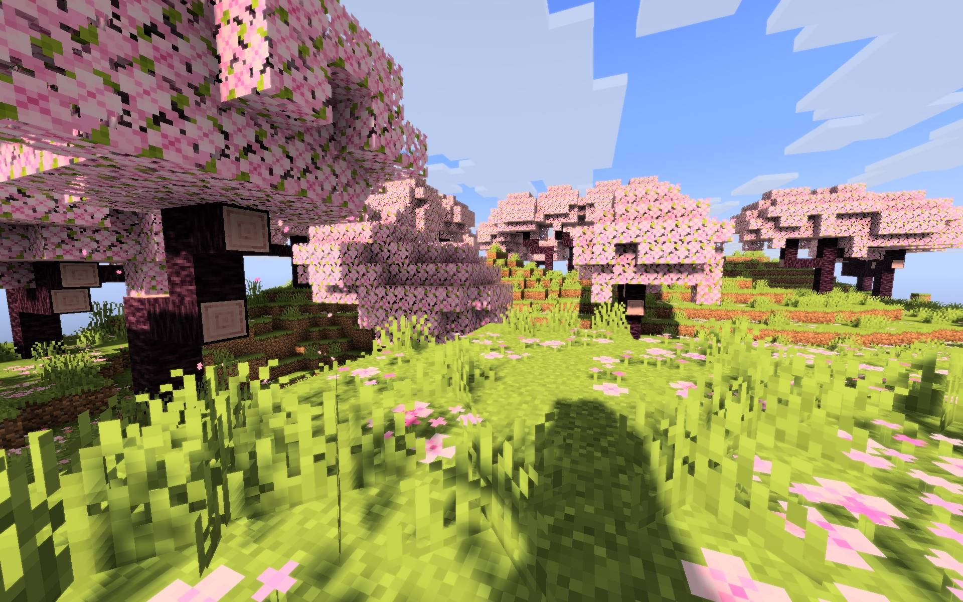 Thumbnail 5977113856b0ba645560becdbbe0b142545a2a1f.jpg