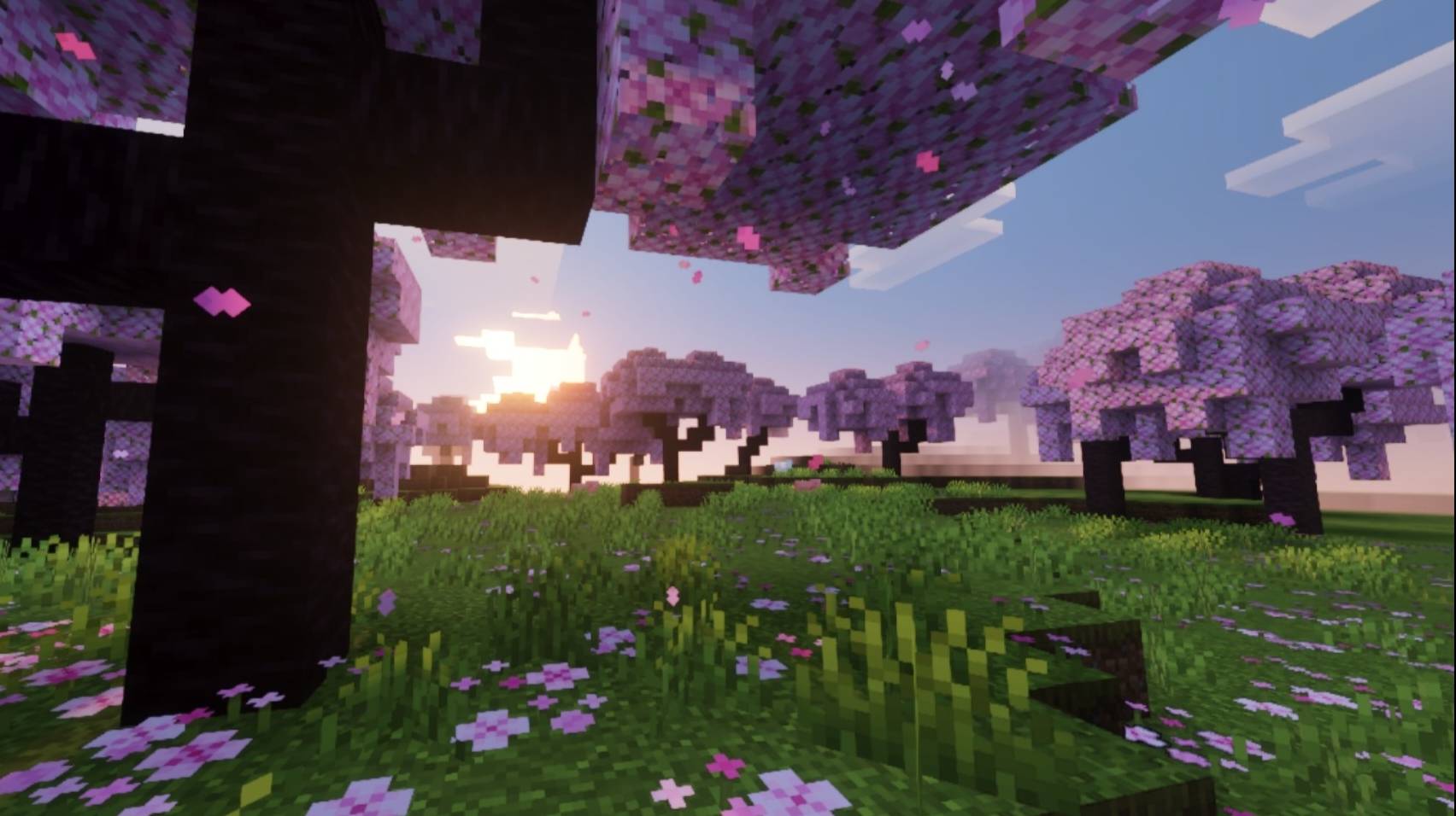 Overworld Cherry Blossom