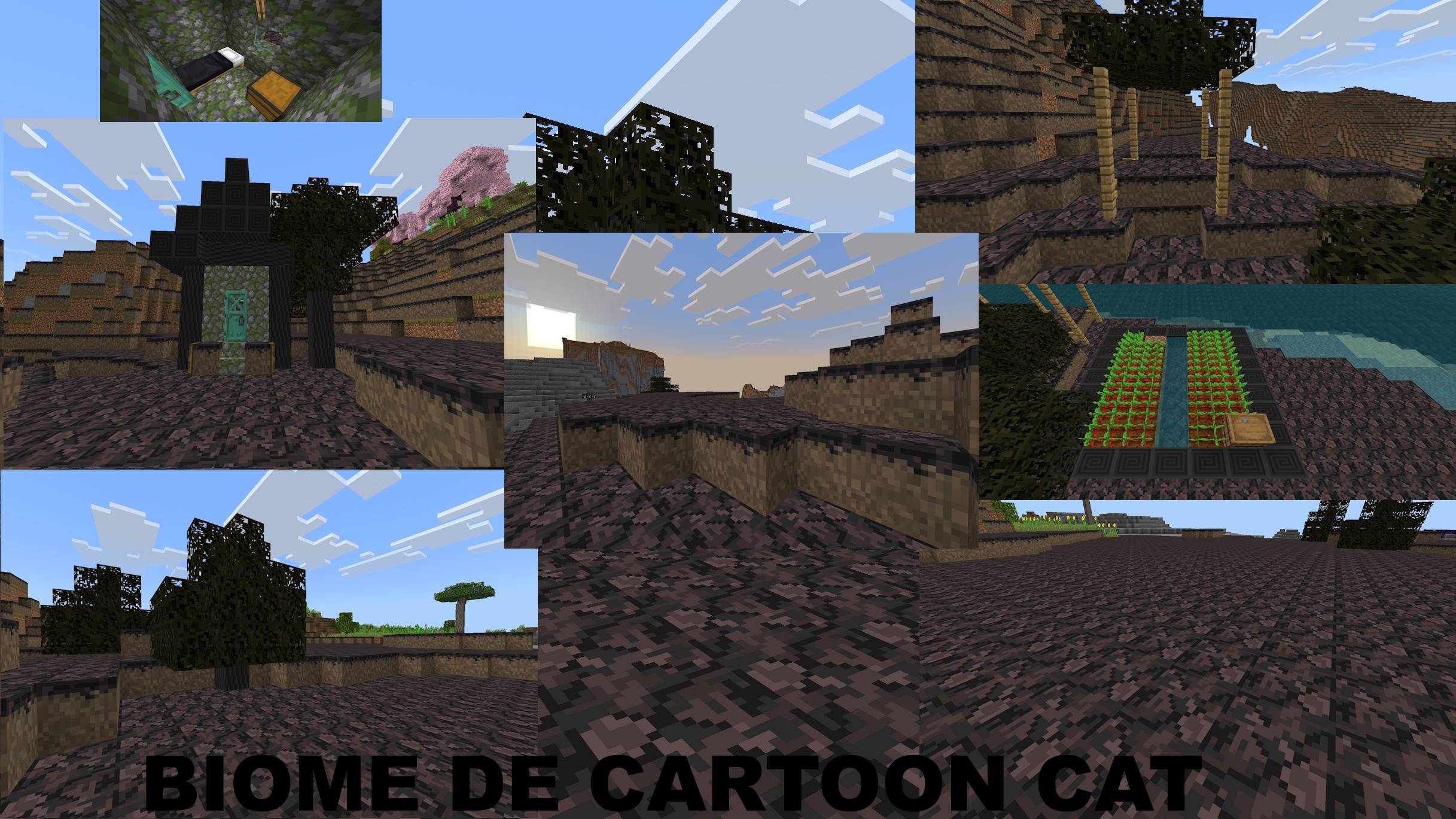 Biome de cartoon cat.jpeg
