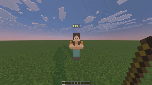 Starting the NPC