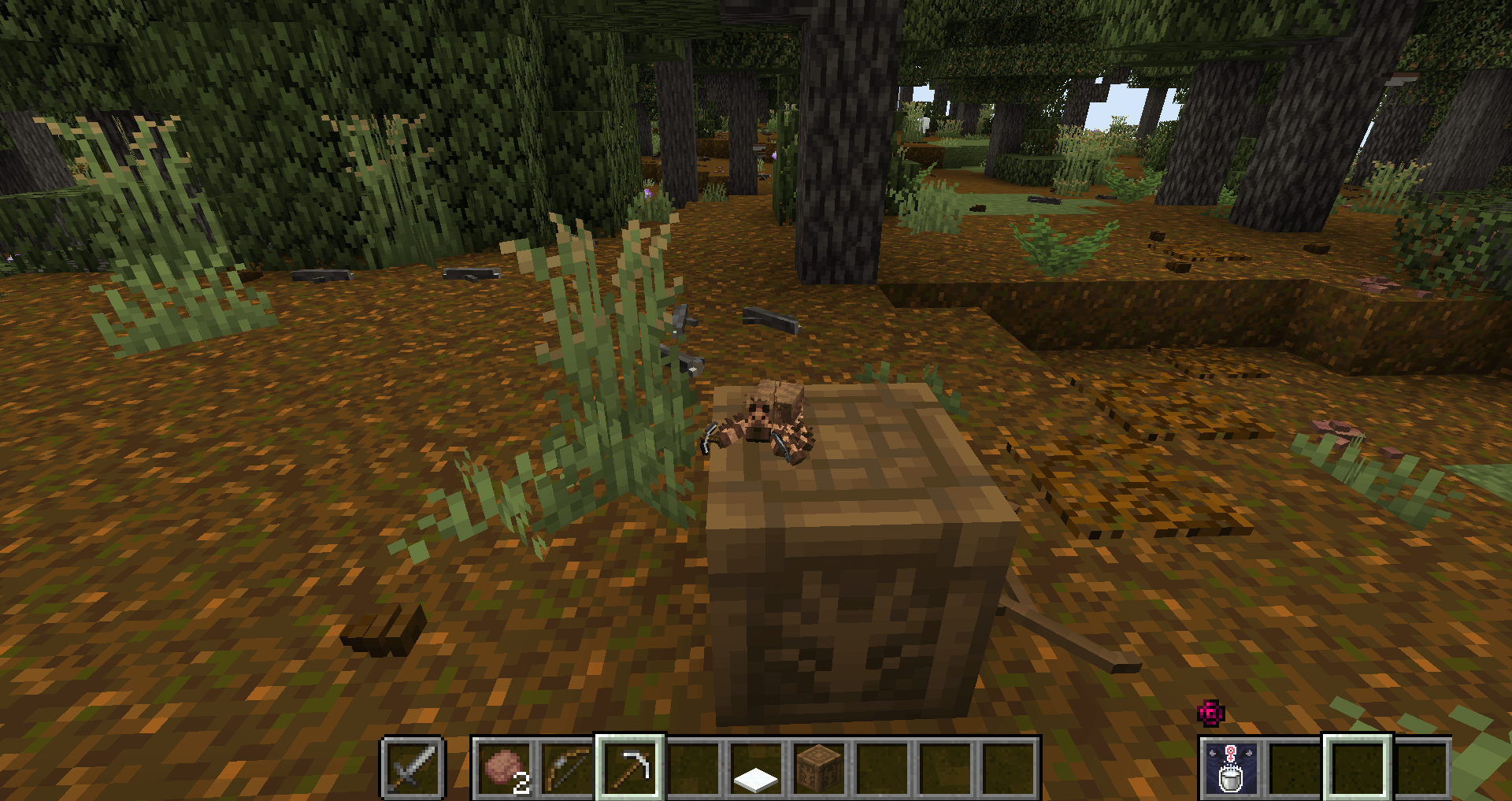 Thumbnail 2026-07-08_13.12.15.png
