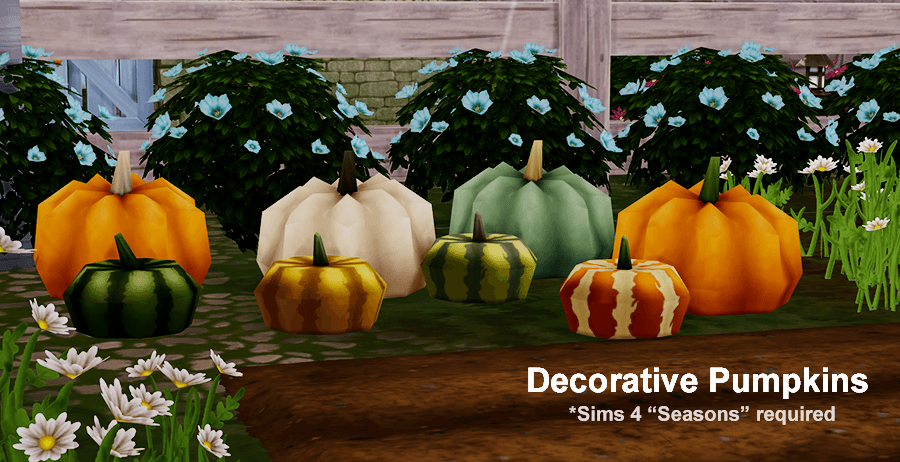 decorativepumpkins_titleimage.png