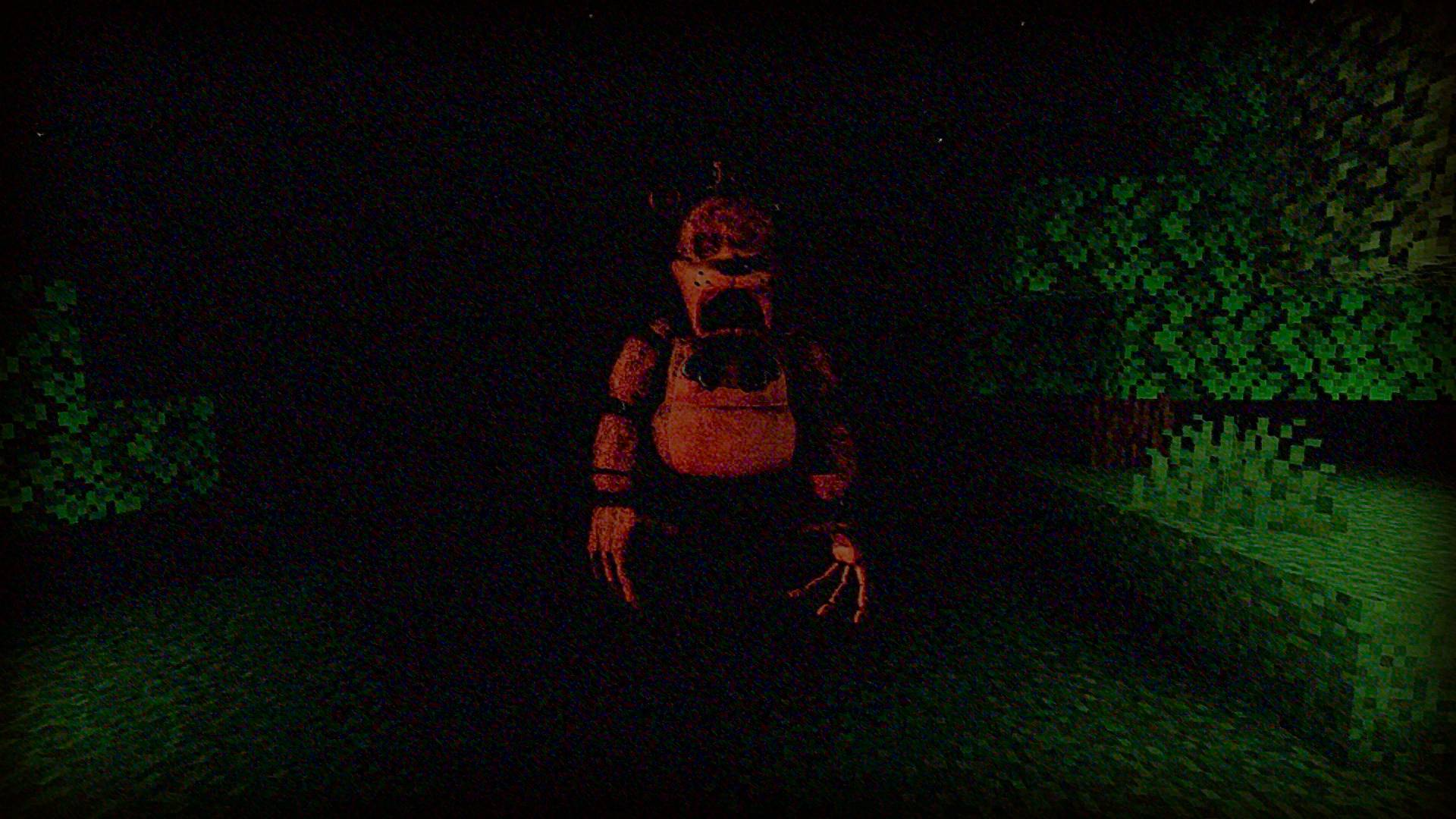 FUN BEAR.jpg