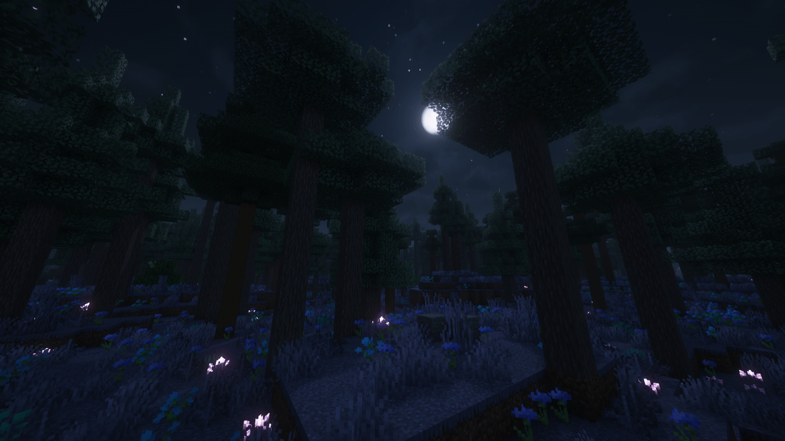 Thumbnail A moonlit forest at night, during a full moon! How ironic!