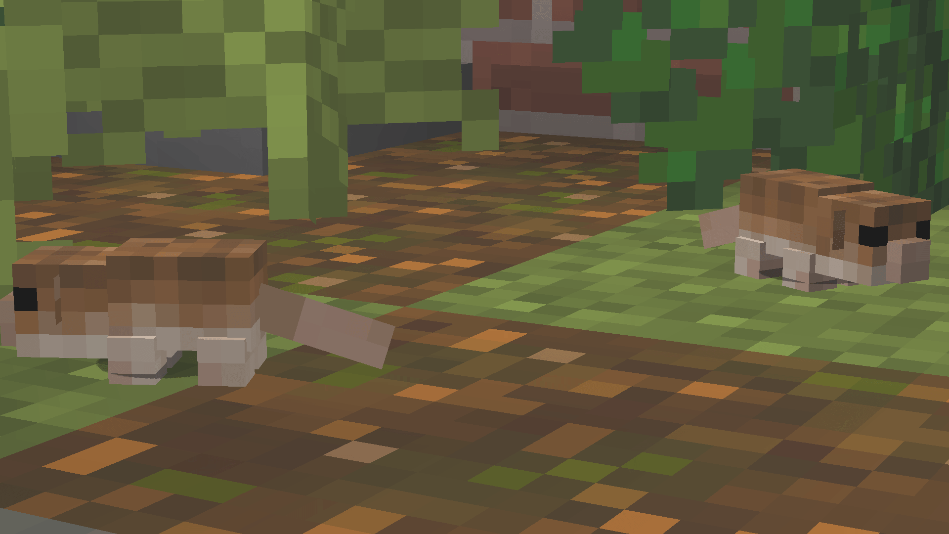 Thumbnail Bavarian Pine Vole