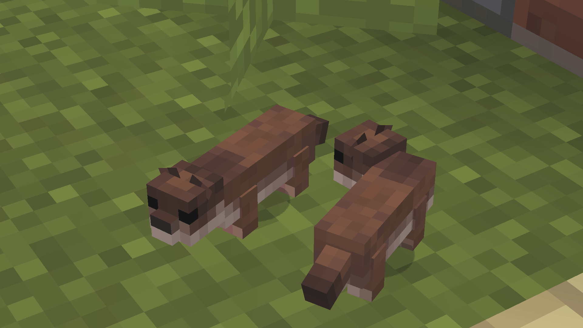 Thumbnail Least Weasel