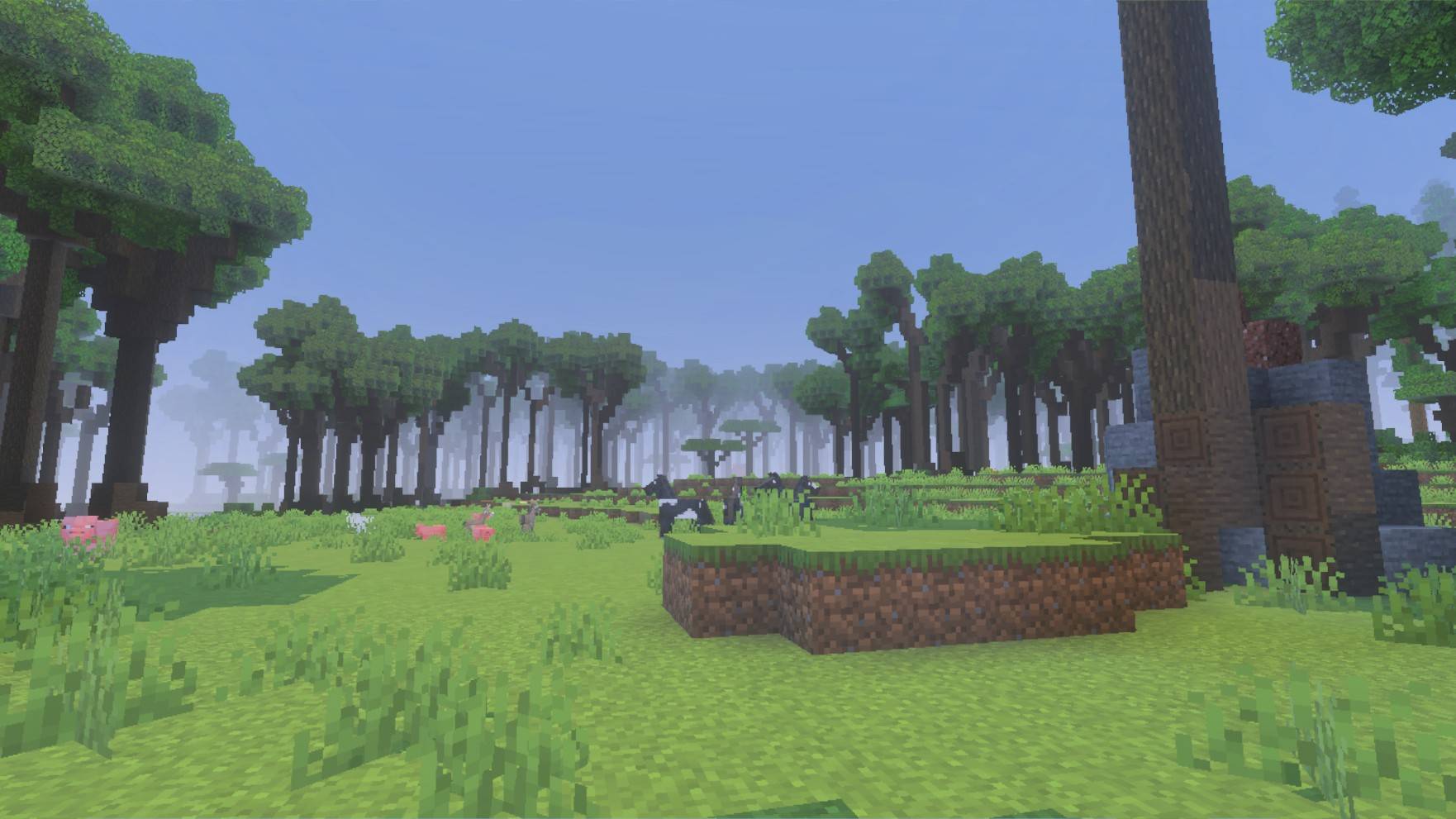 The beauty of the forest