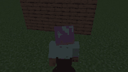 log.gif