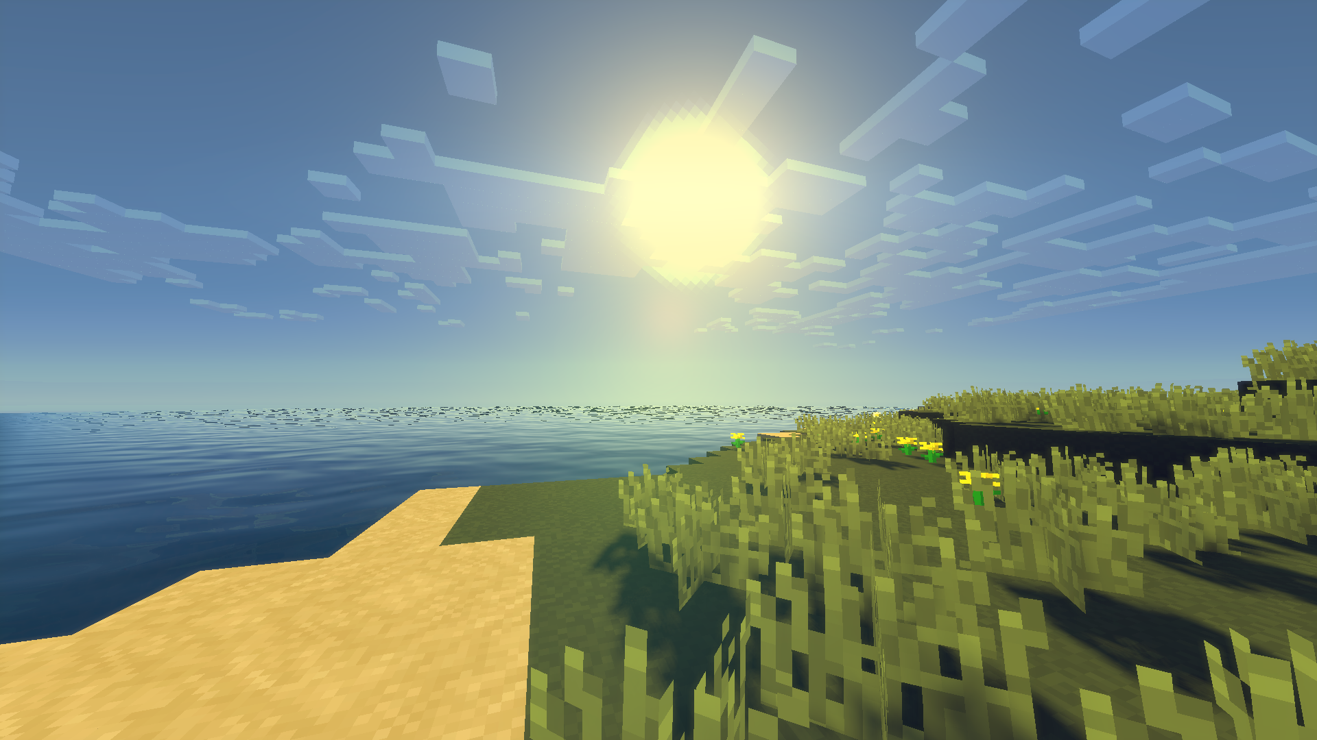 Shader