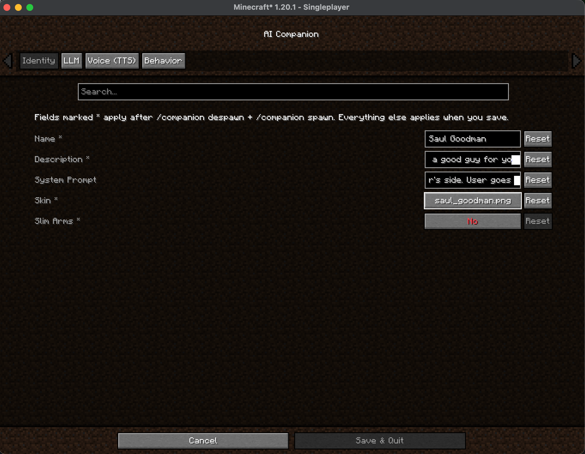The Identity tab: set your companion's name, description, and system prompt to shape its personality, then pick a skin file and toggle slim arms to control its look.