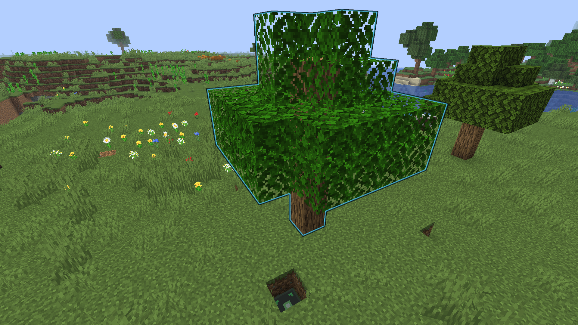 Area Place.png