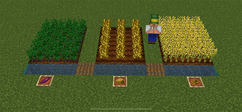 _0001_IMG_3442.png