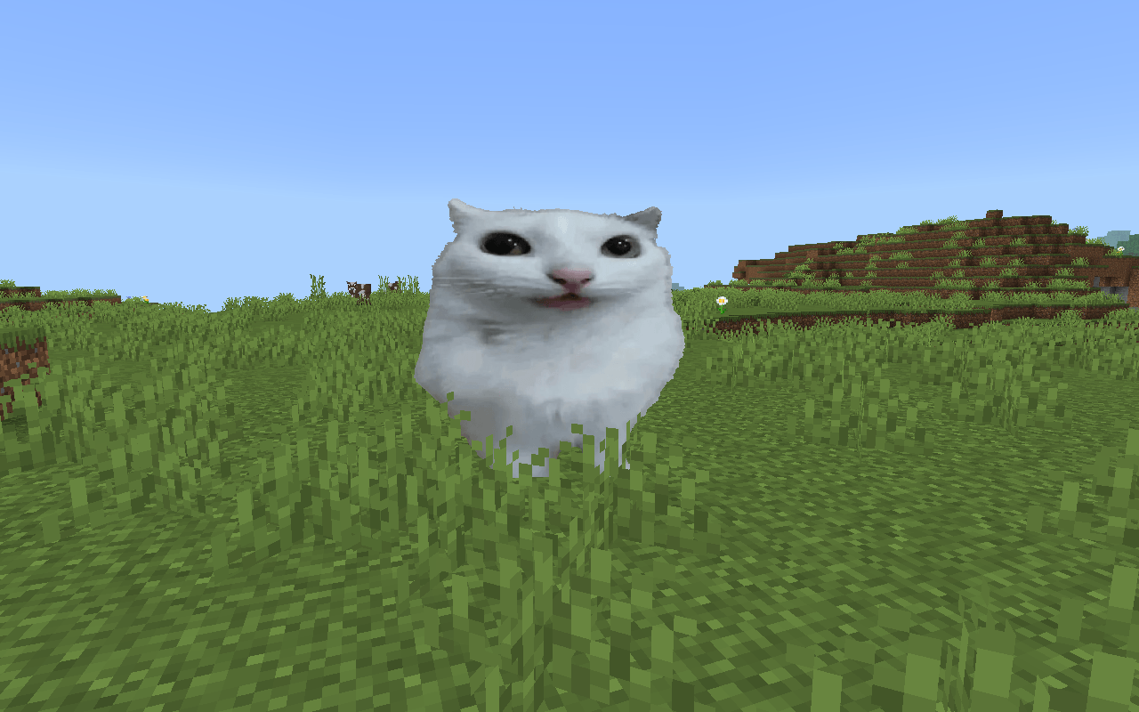 1000077470.png