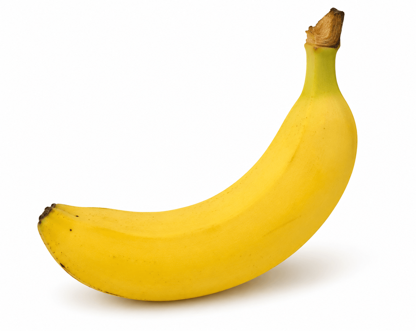 ae069458-7528-4467-a374-0a3becfe0b94.png